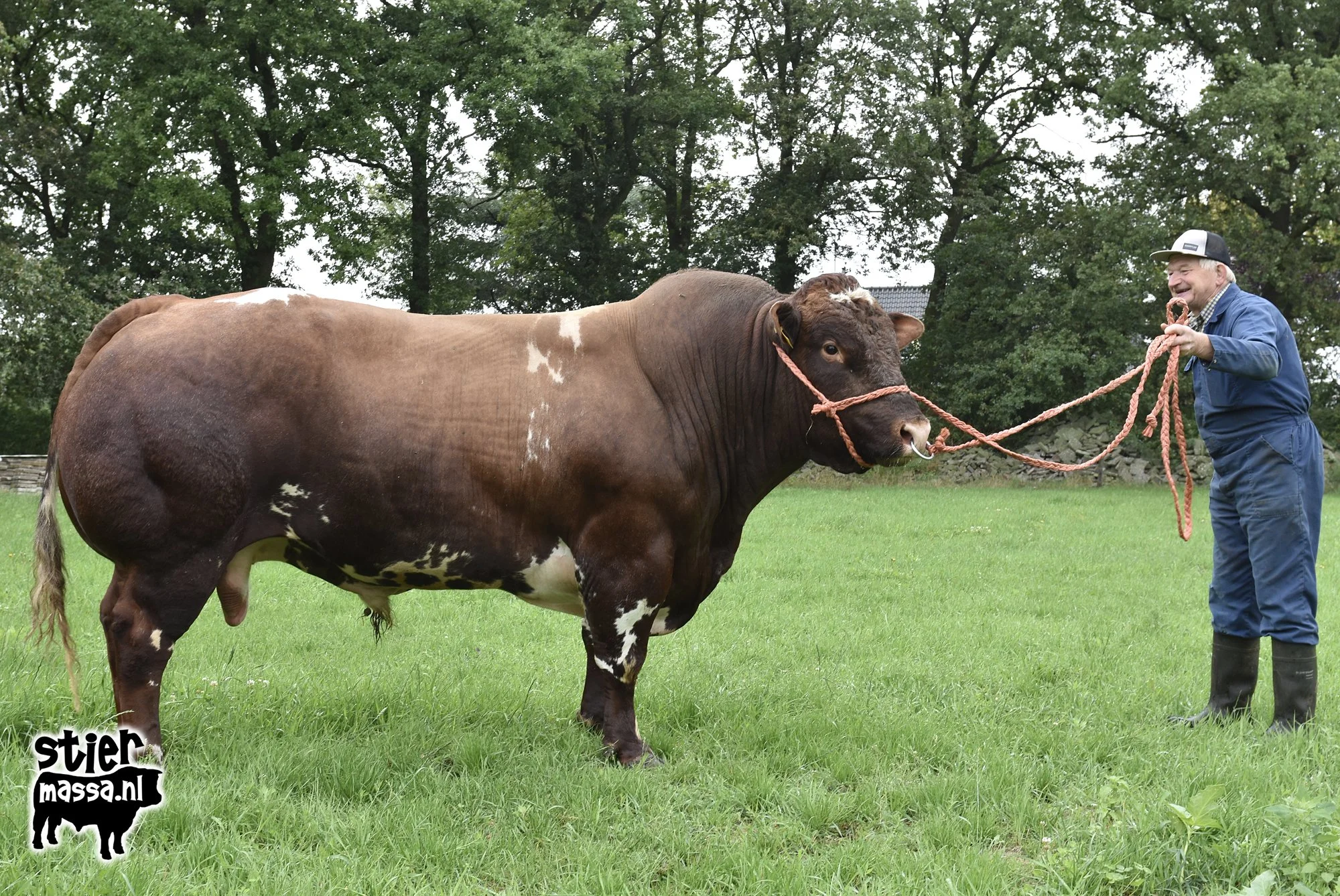 Hendrik-Rein-02.jpg