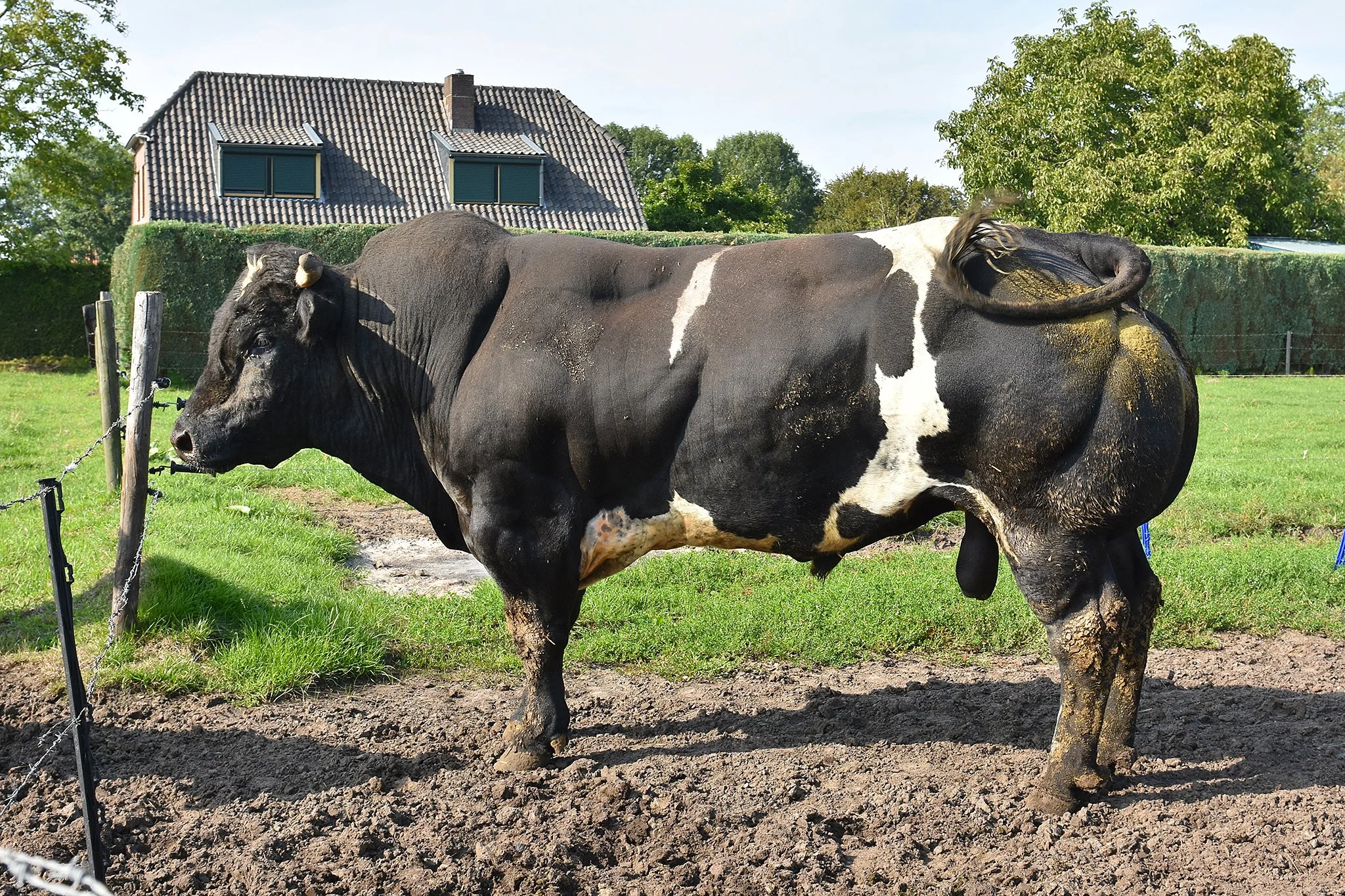 BWB_Haarsteeg_2.jpg