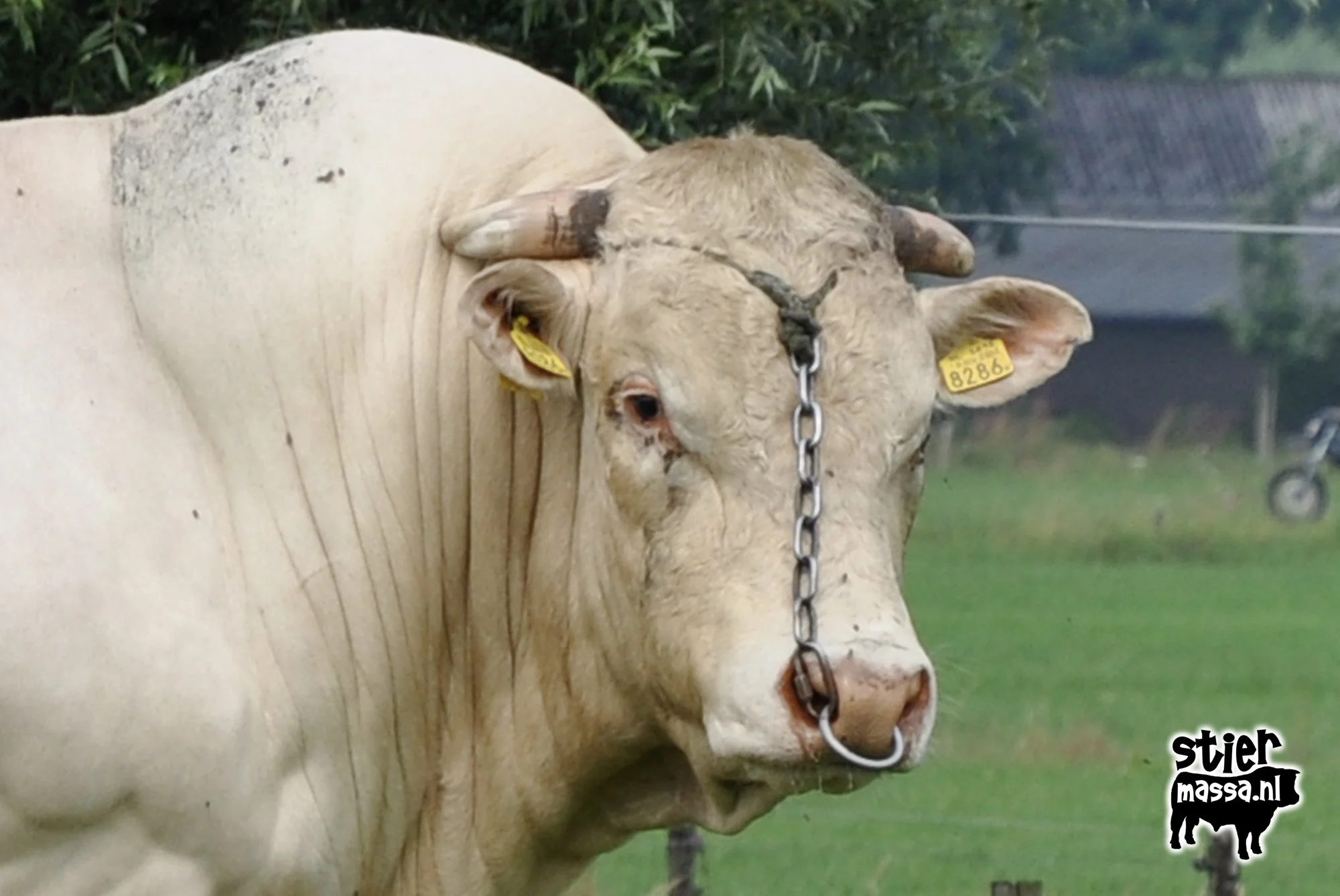 Loenen