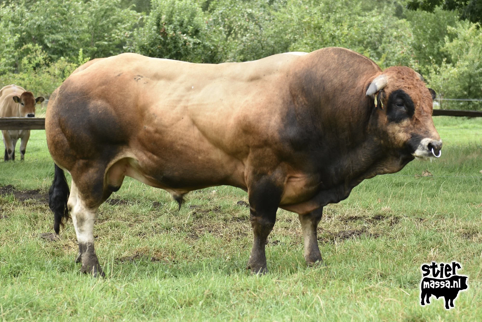 Pekin-04.jpg