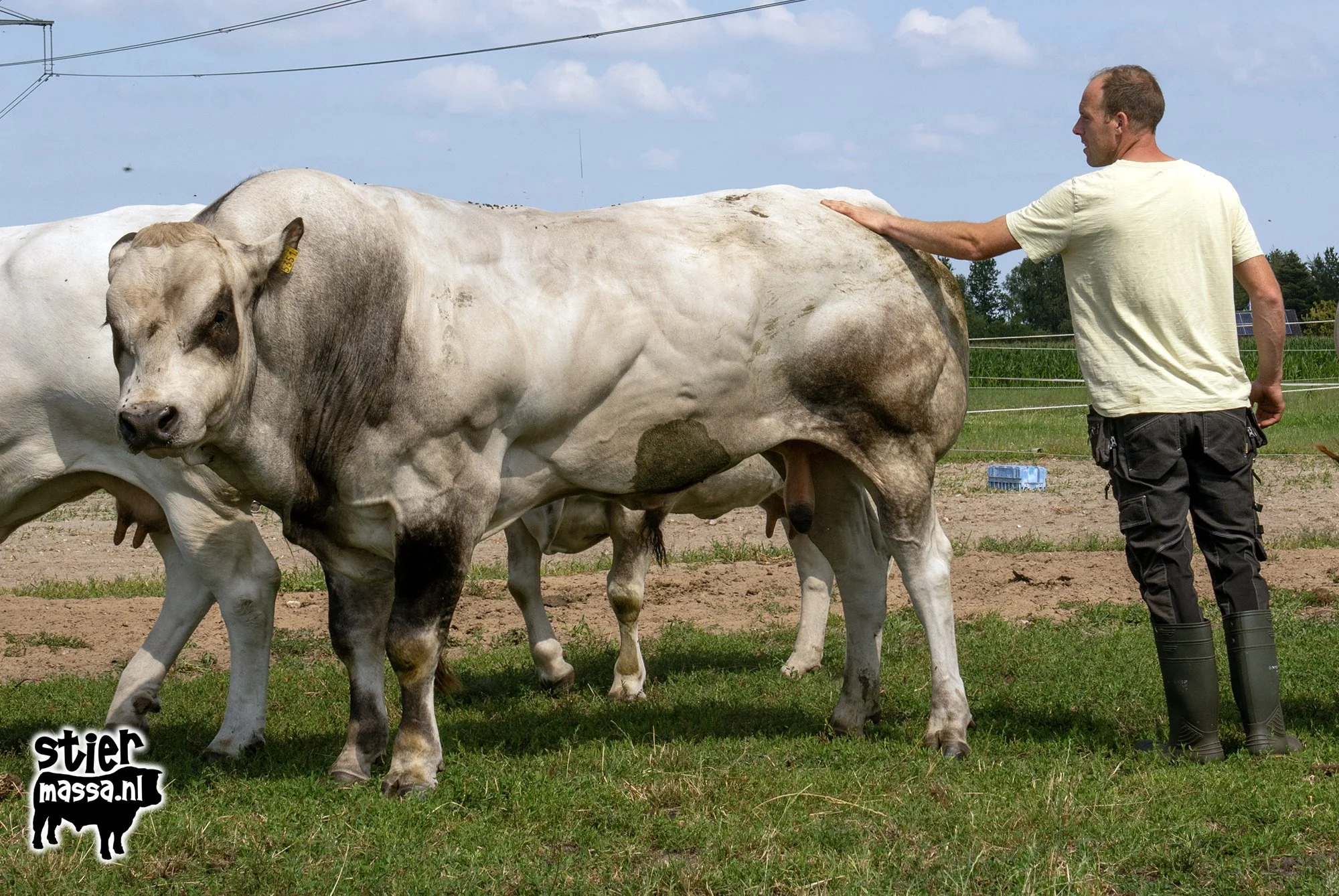 Fortwijk 343-03.jpg