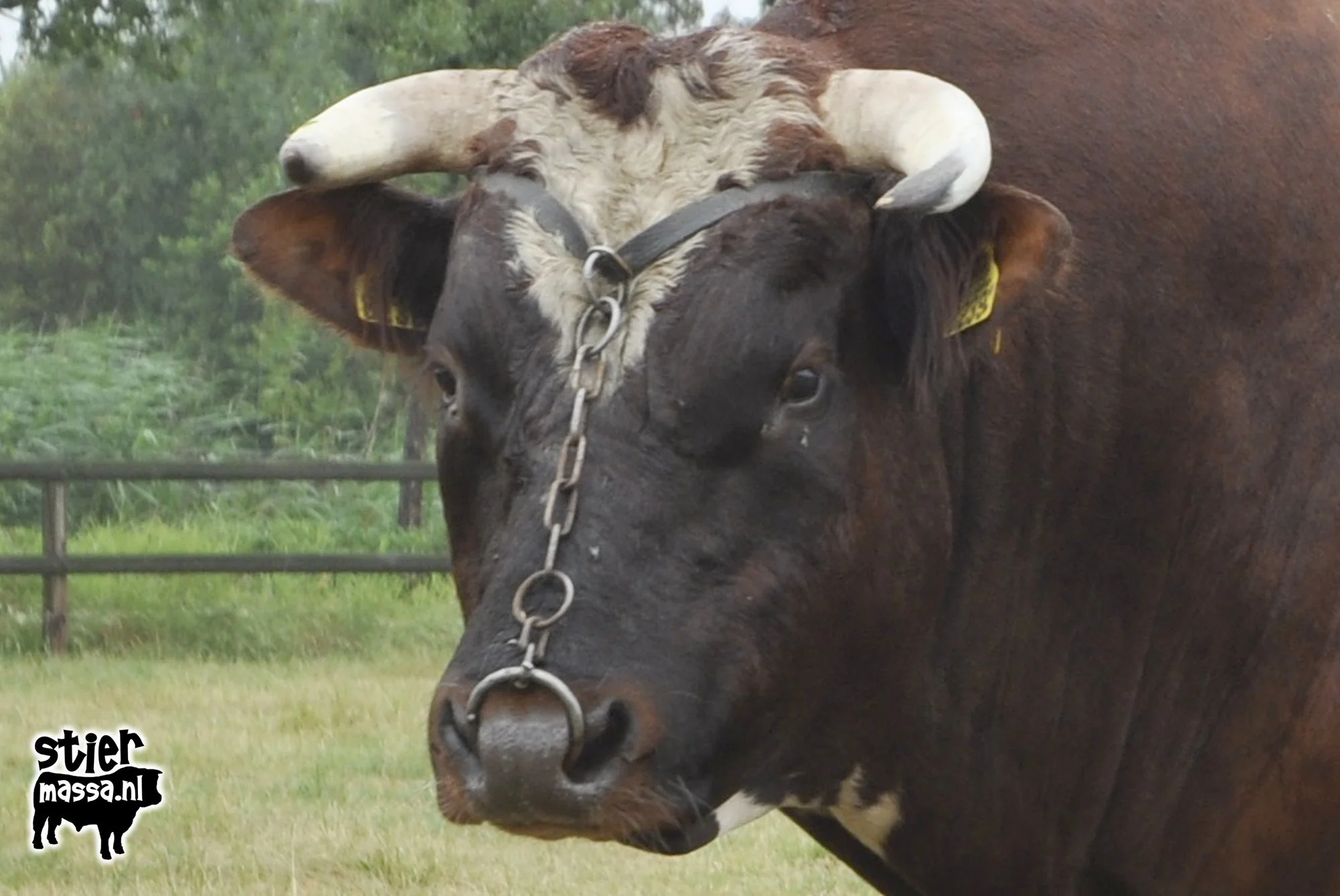 Groot Rassert 539-1.jpg