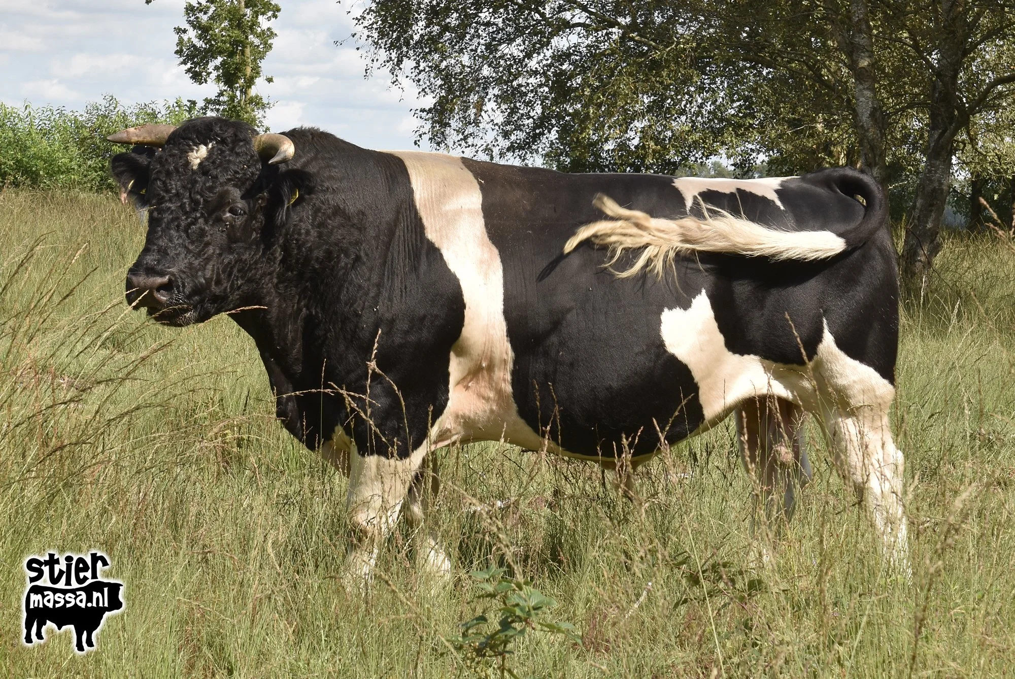Arne-04.jpg