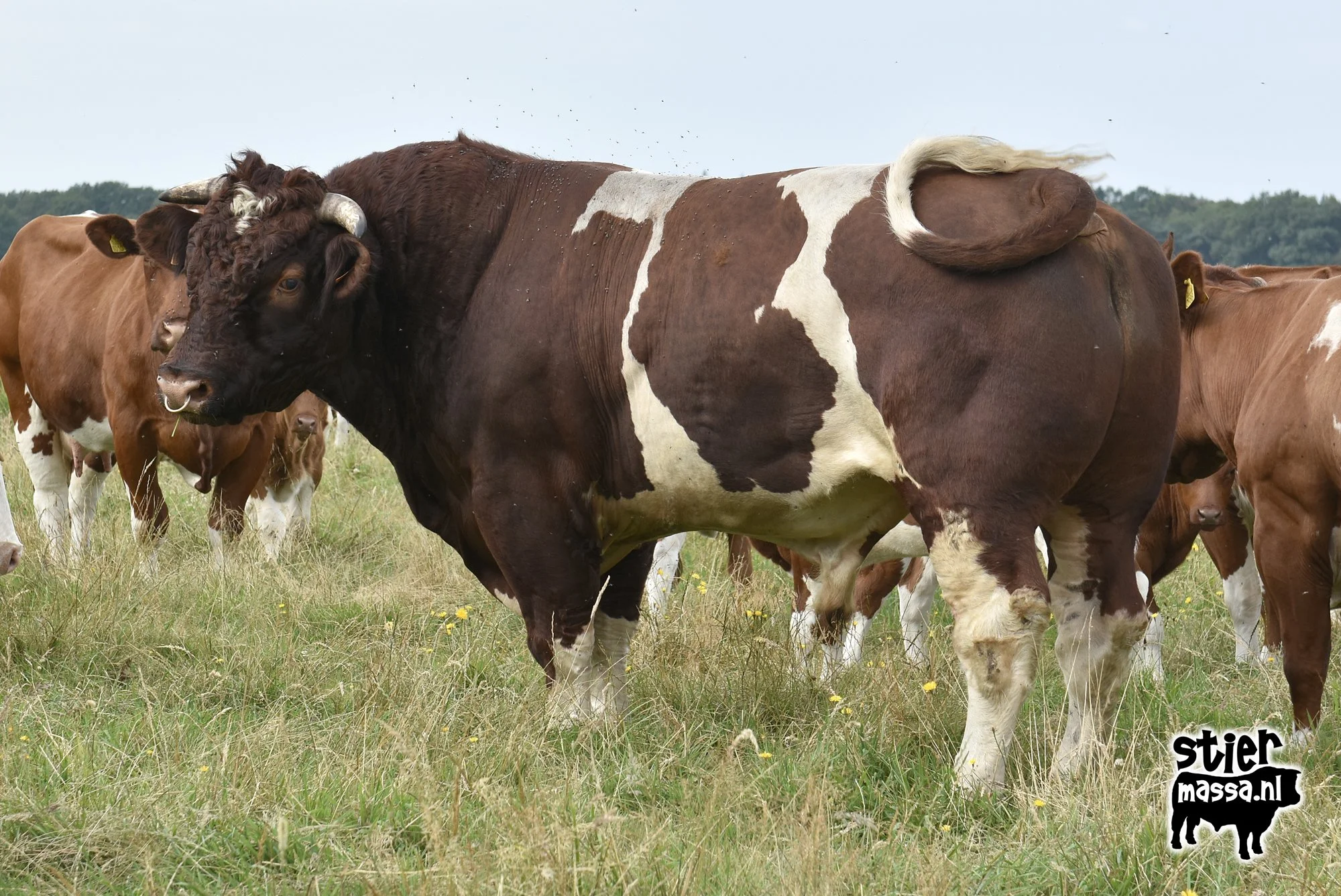 Hendrik-04.jpg