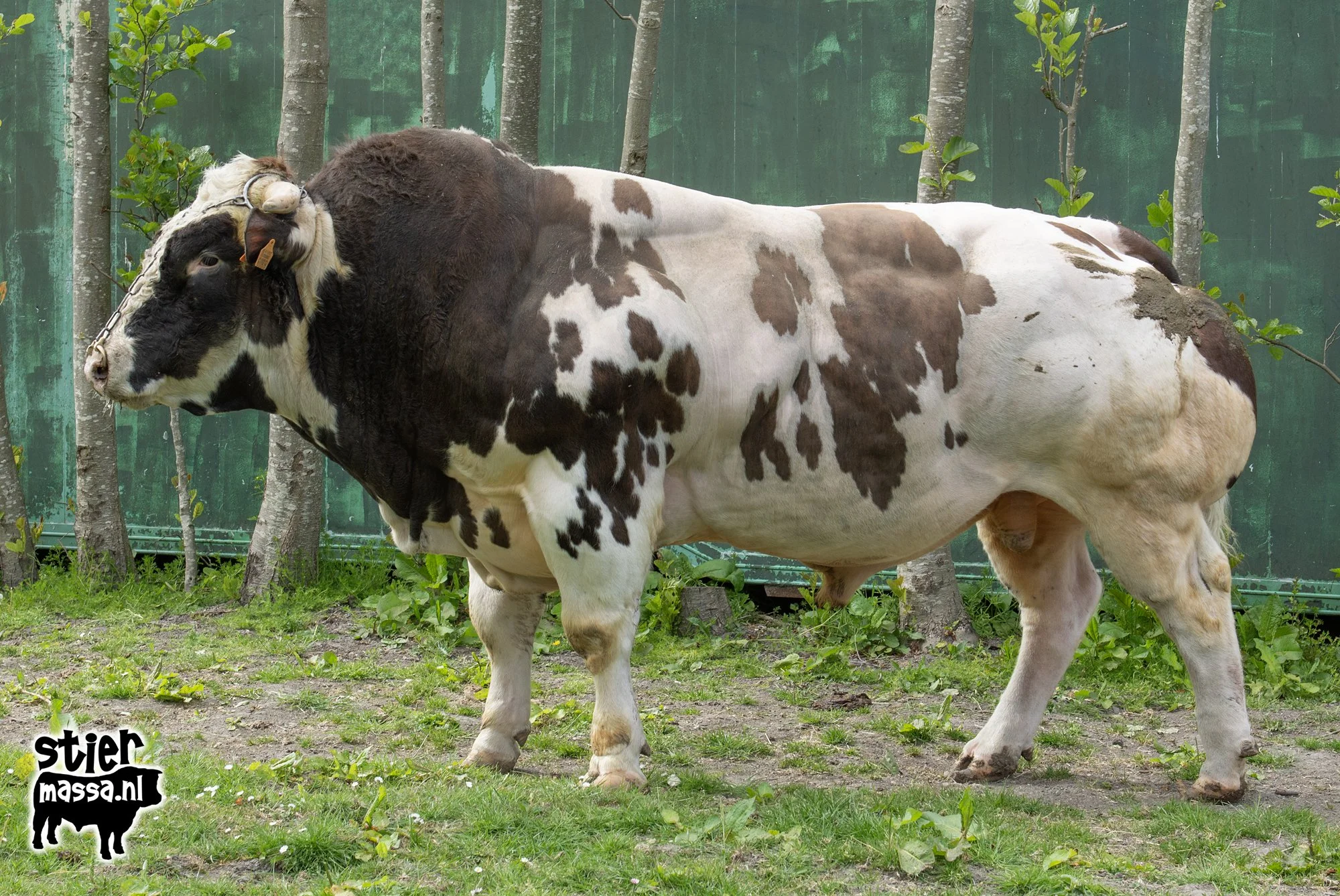 BWB Leonardus-05.jpg