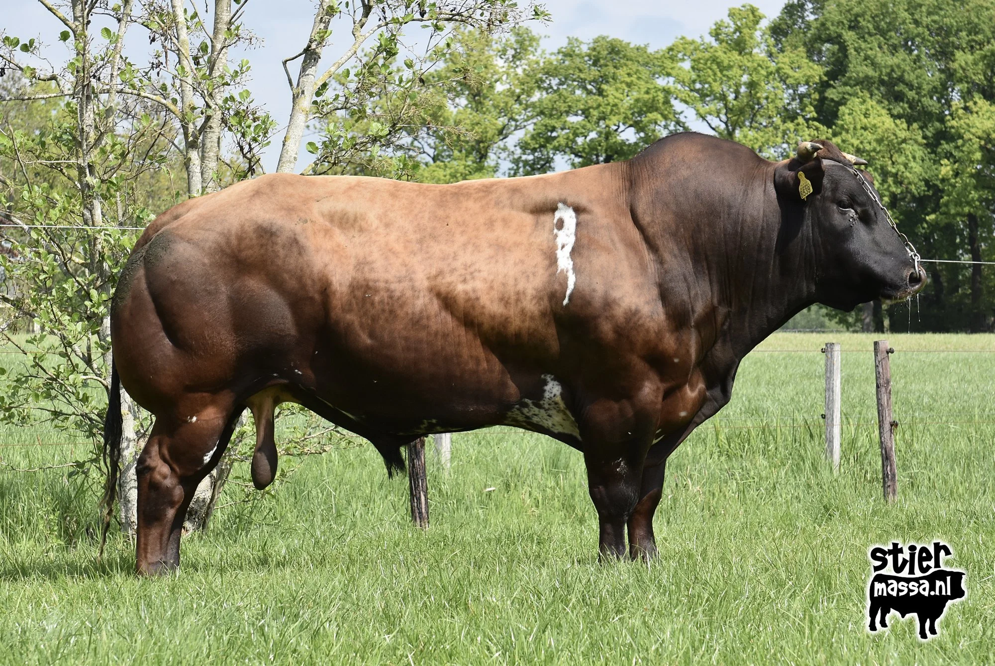 Groot Rassert 674-2.jpg