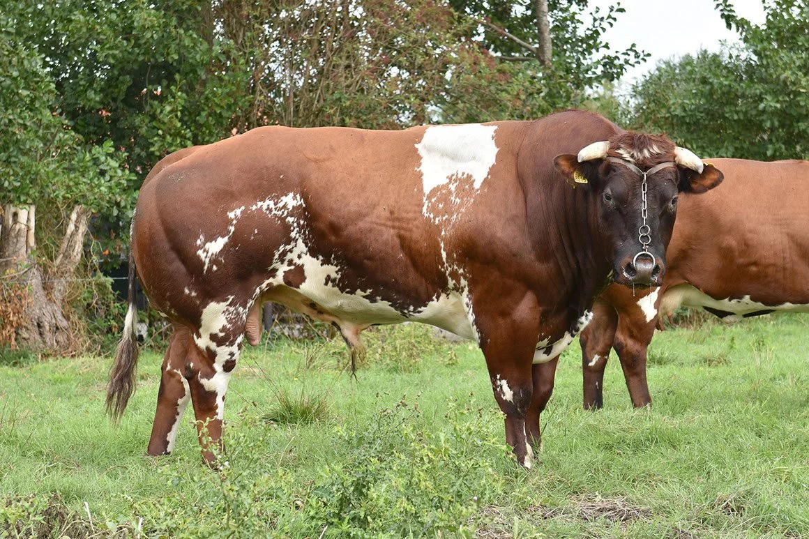 VRB-0007-01.jpg