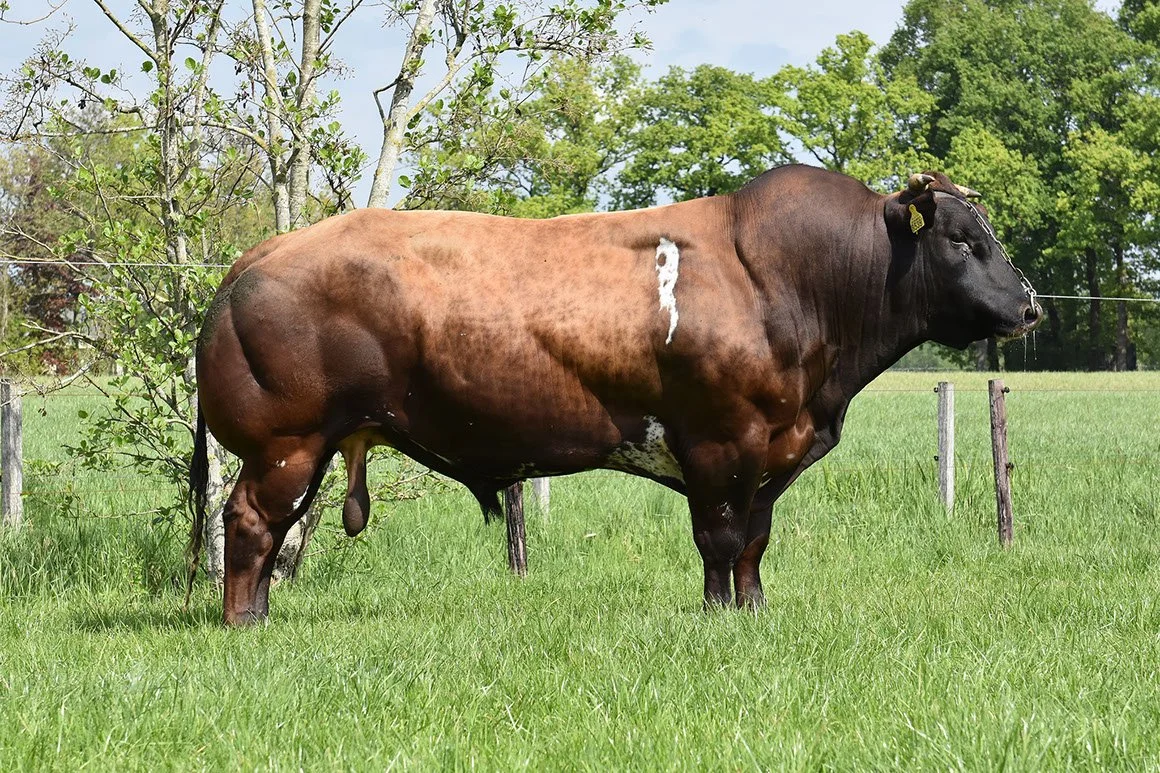 VRB-0008-01.jpg