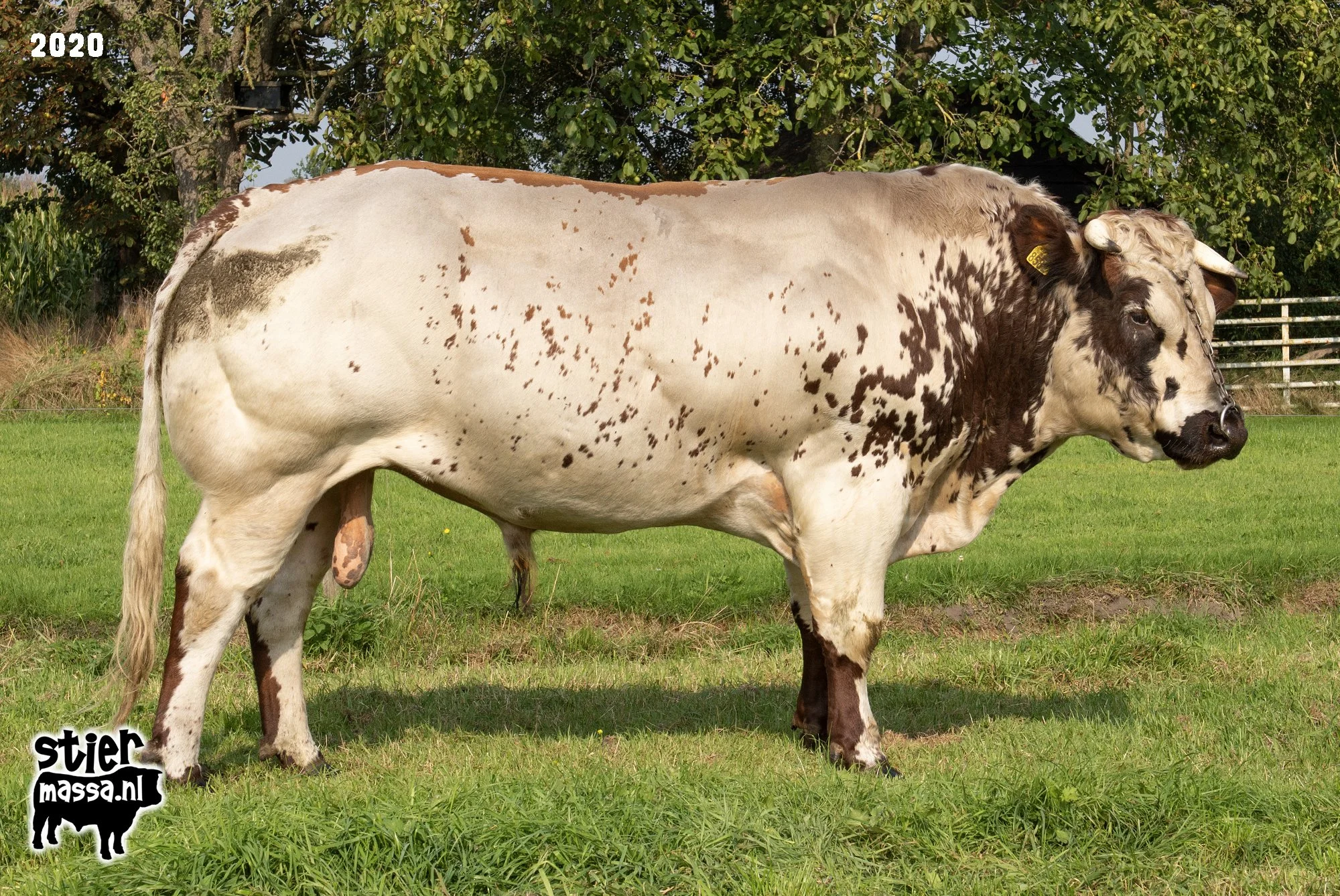Groot Rassert 693-4.jpg