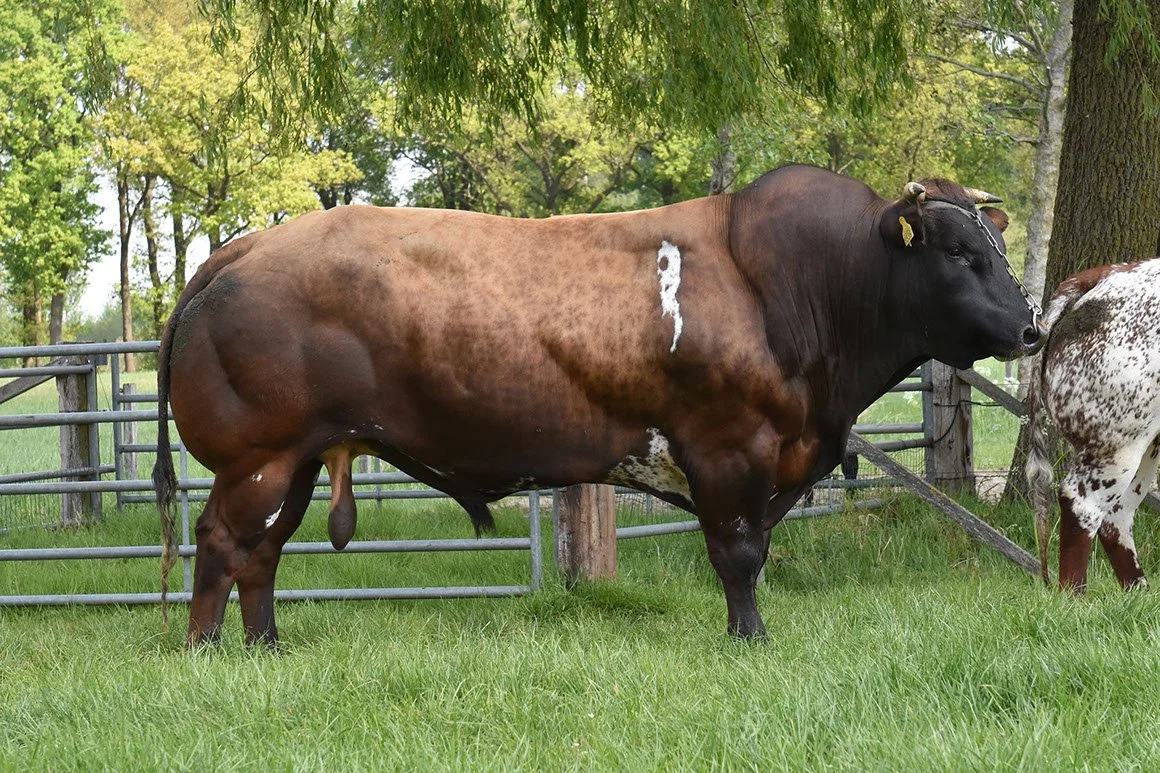 VRB-0008-02.jpg
