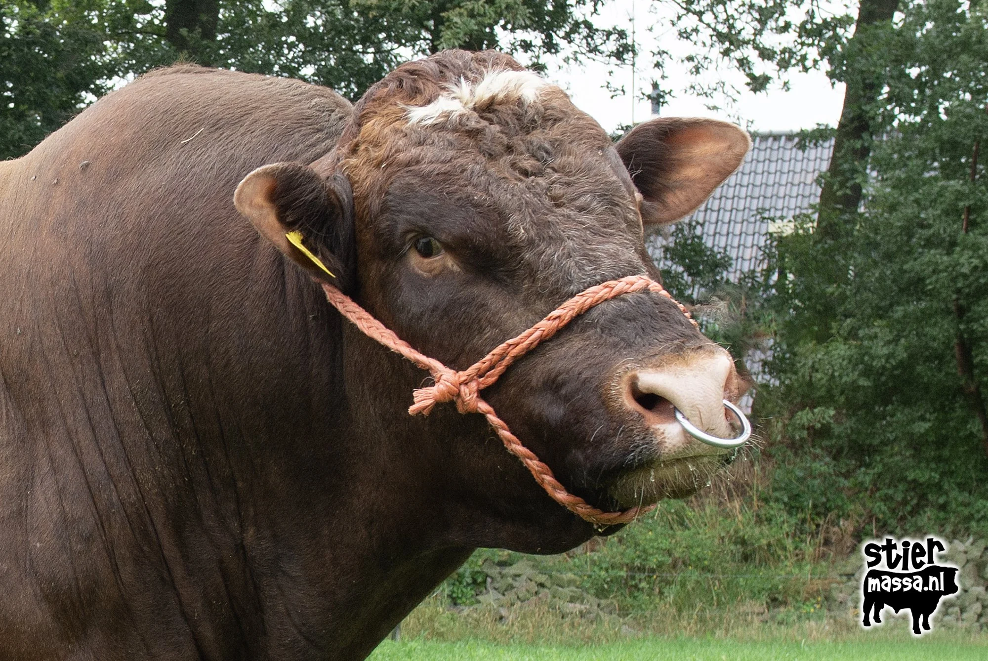 Hendrik-Rein-01.jpg
