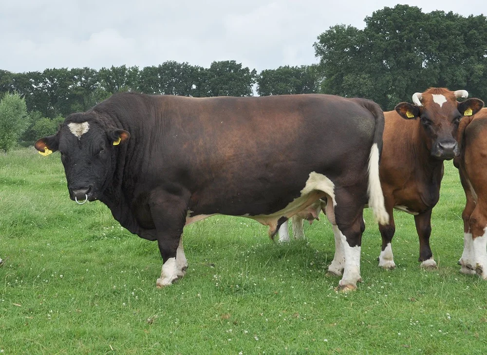 Bartol Hemelrijksche Hoeve