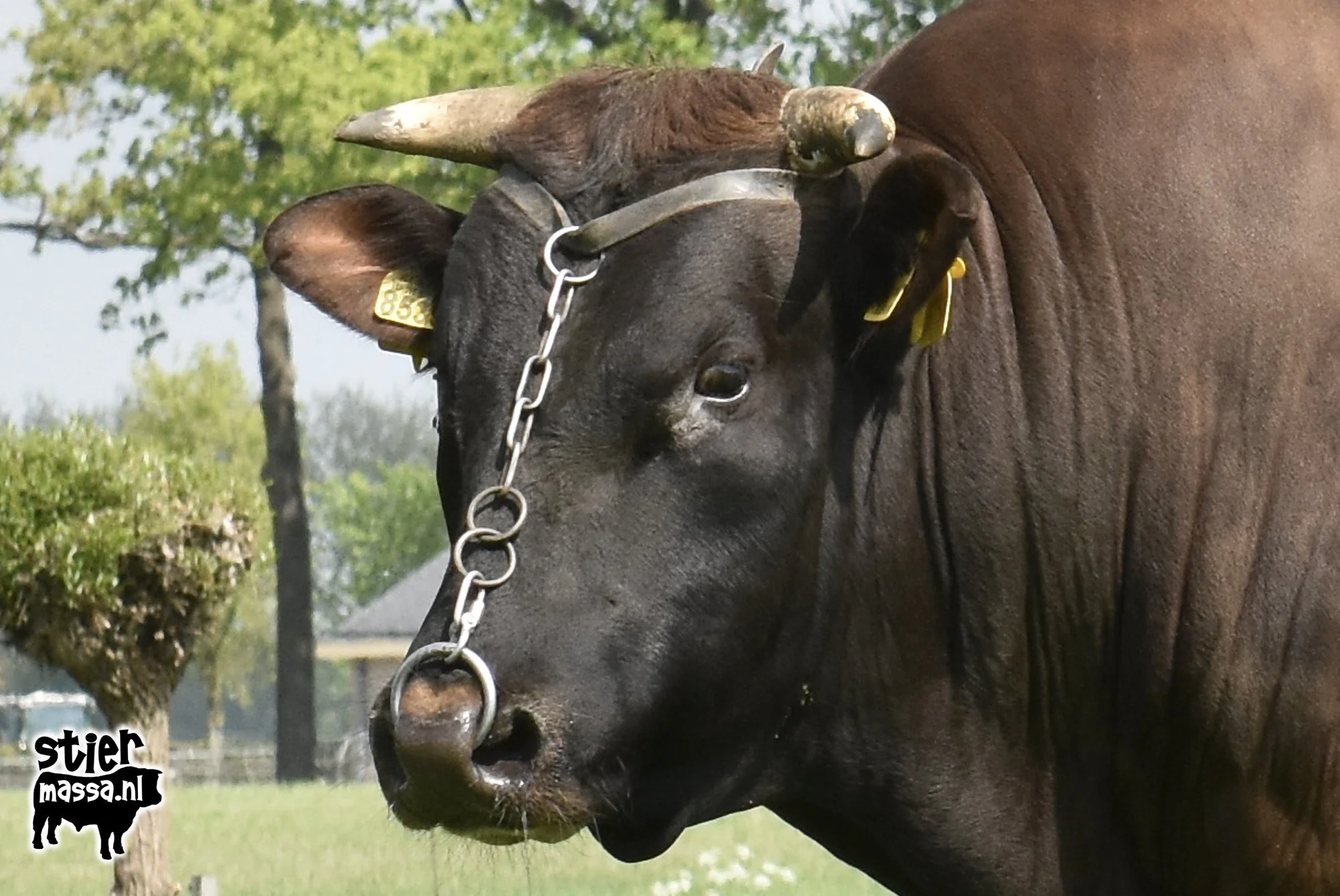 Groot Rassert 674-1.jpg