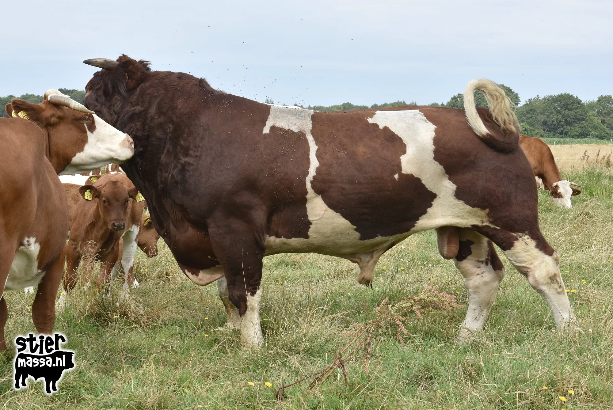 Hendrik-05.jpg