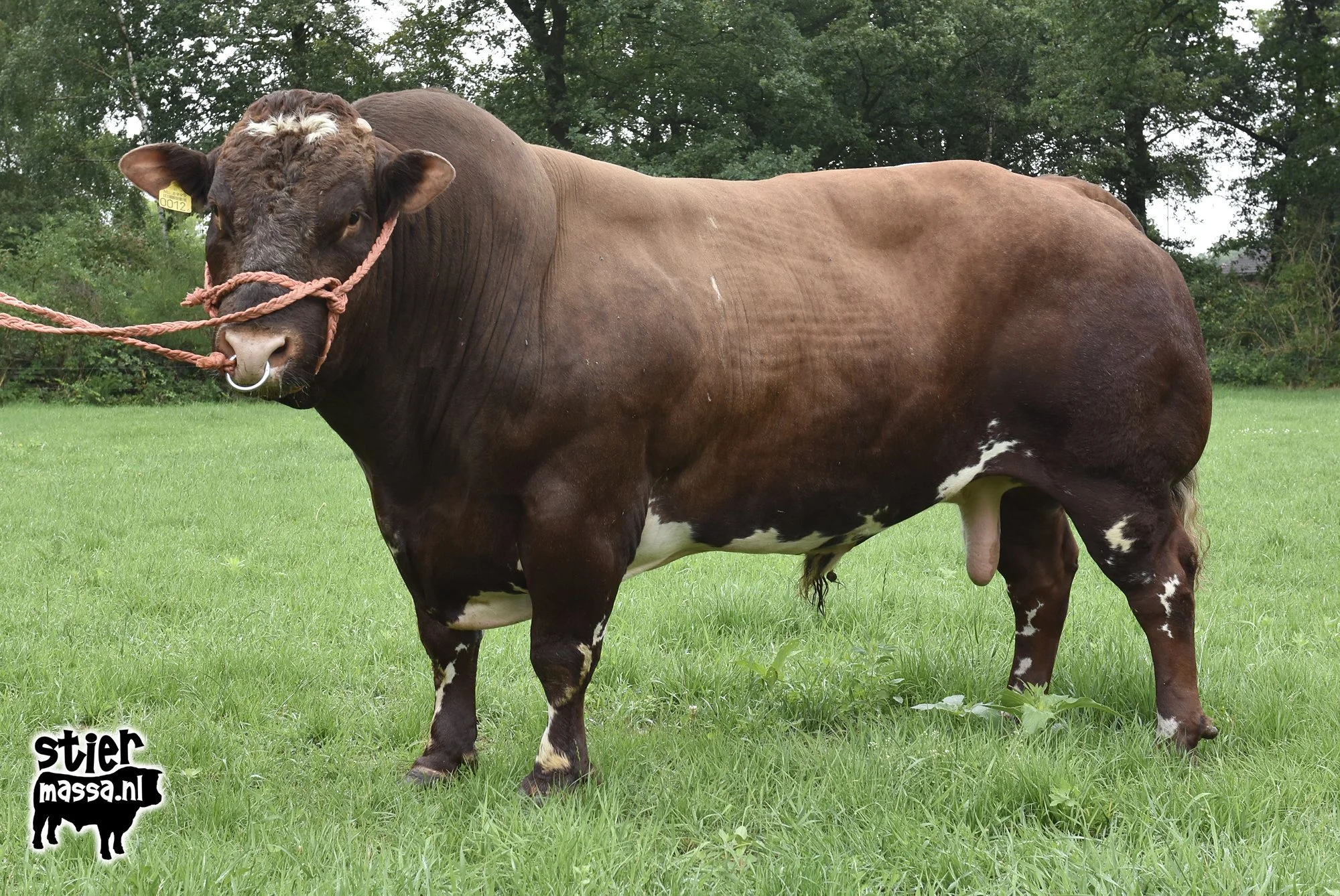Hendrik-Rein-04.jpg