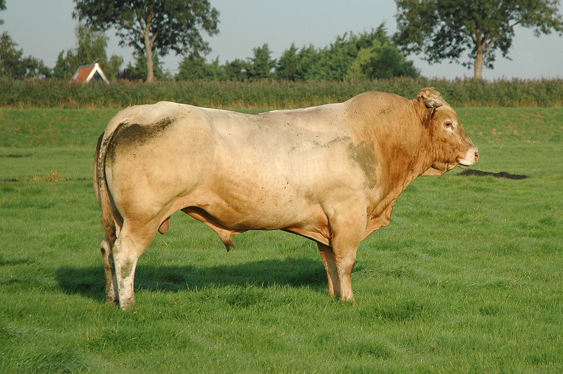 BDA-0014-03.jpg