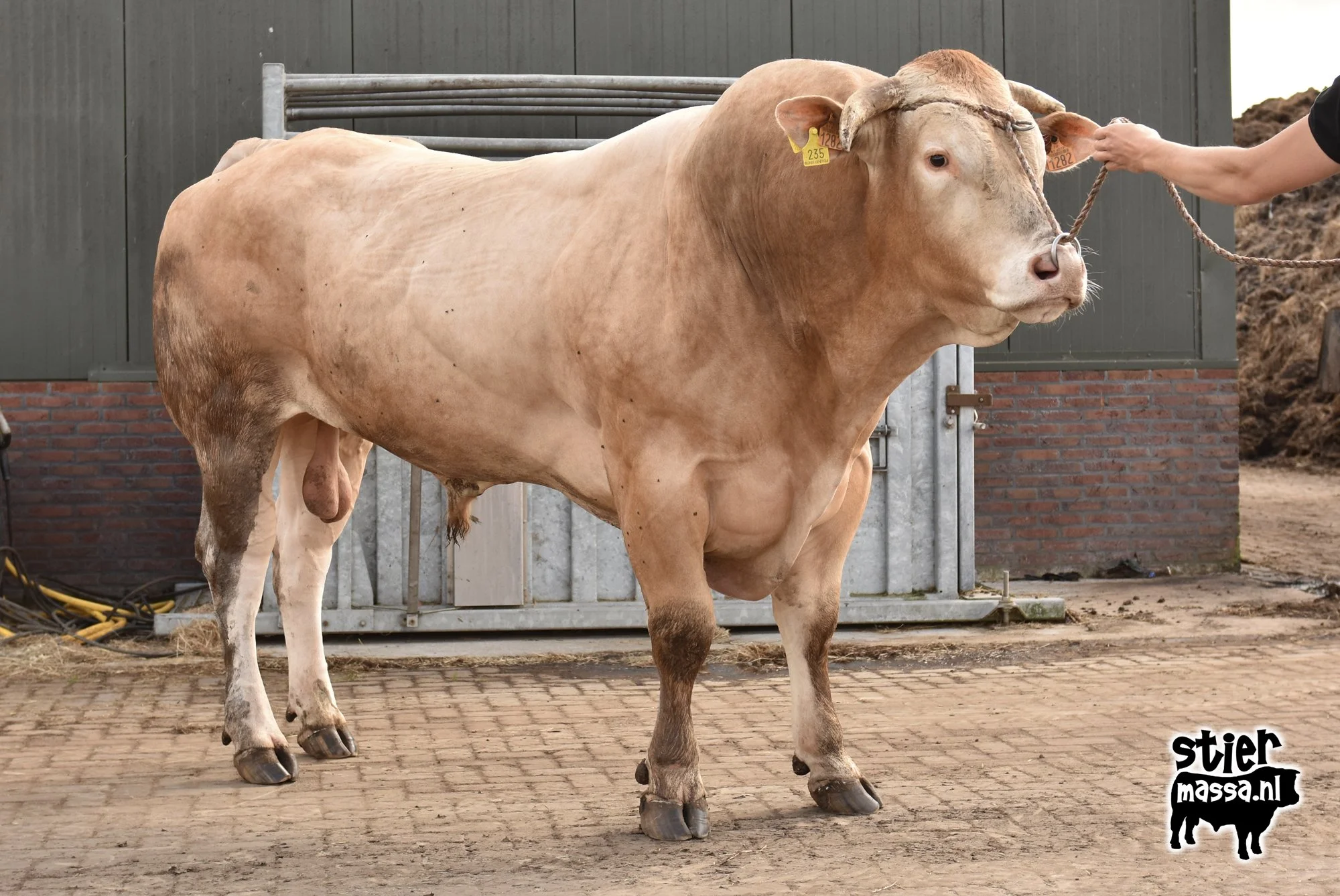 Ruben-03.jpg