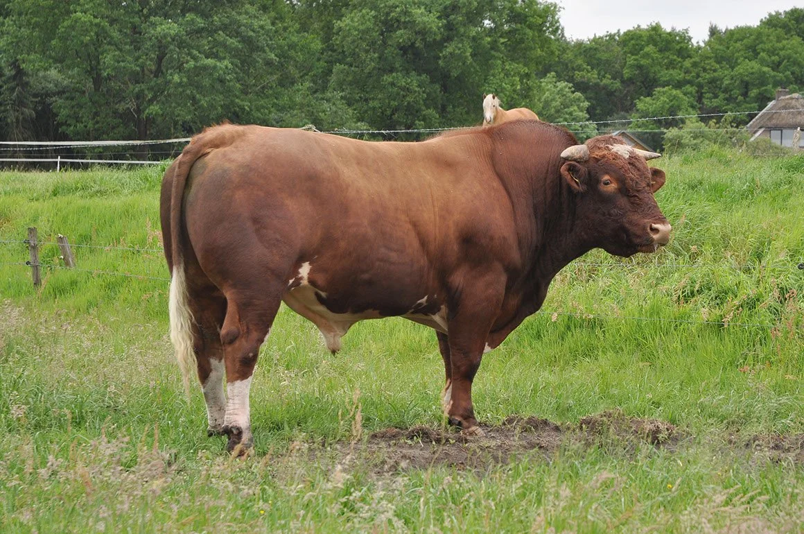 MAN-0004-04.jpg