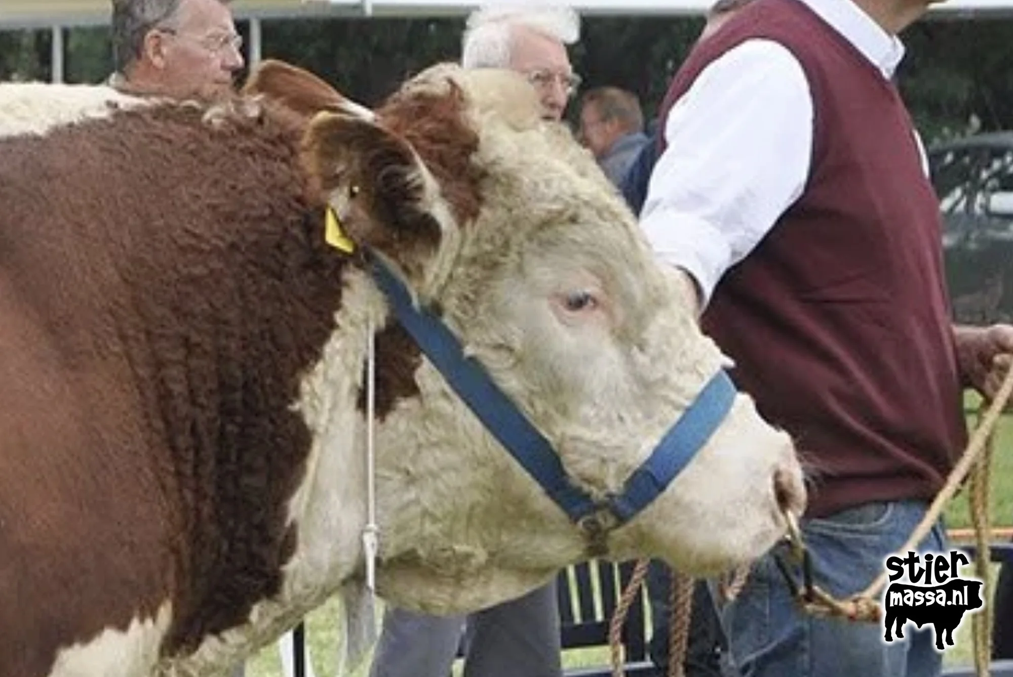 Hereford Furges.jpg