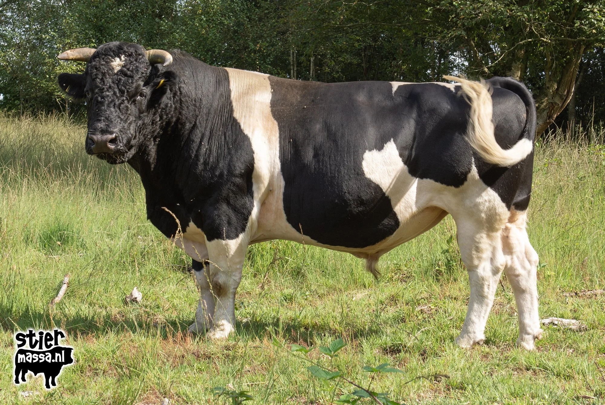 Arne-02.jpg