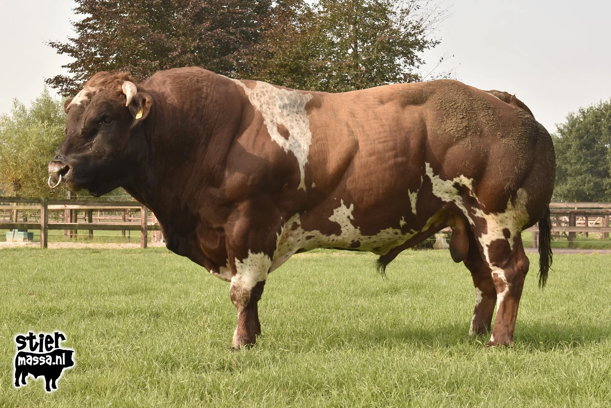 GR667-03.jpg