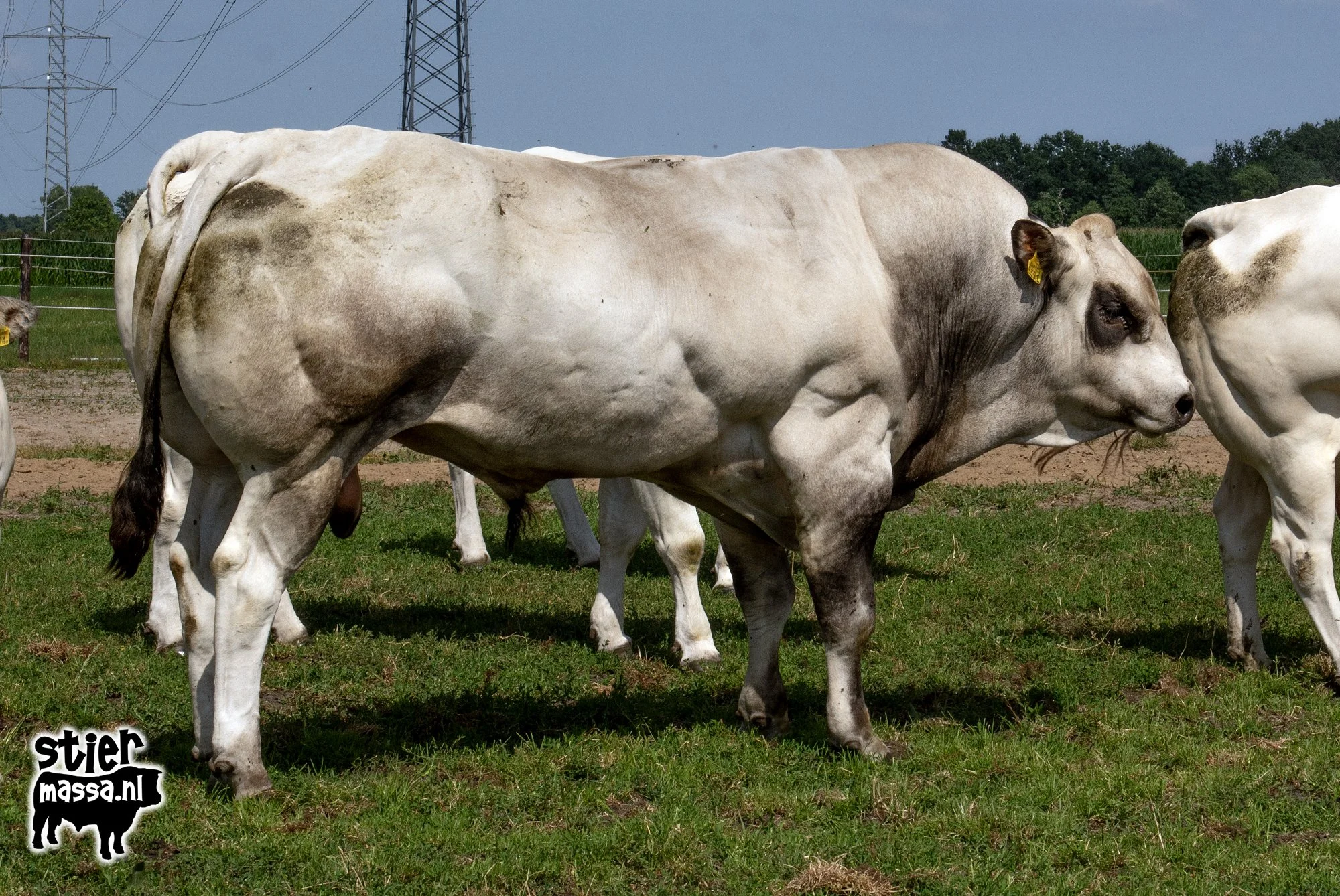 Fortwijk 343-04.jpg