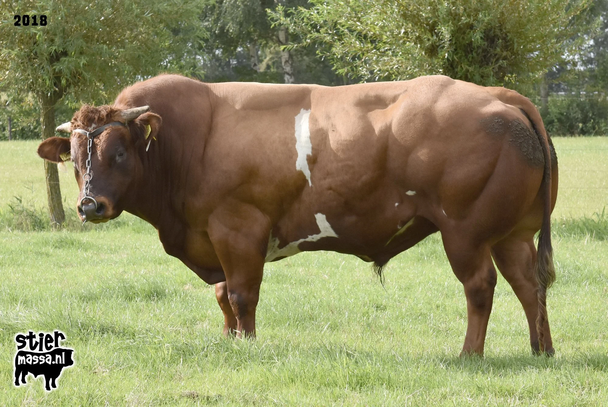 Leyenhorst 211-in 2018.jpg
