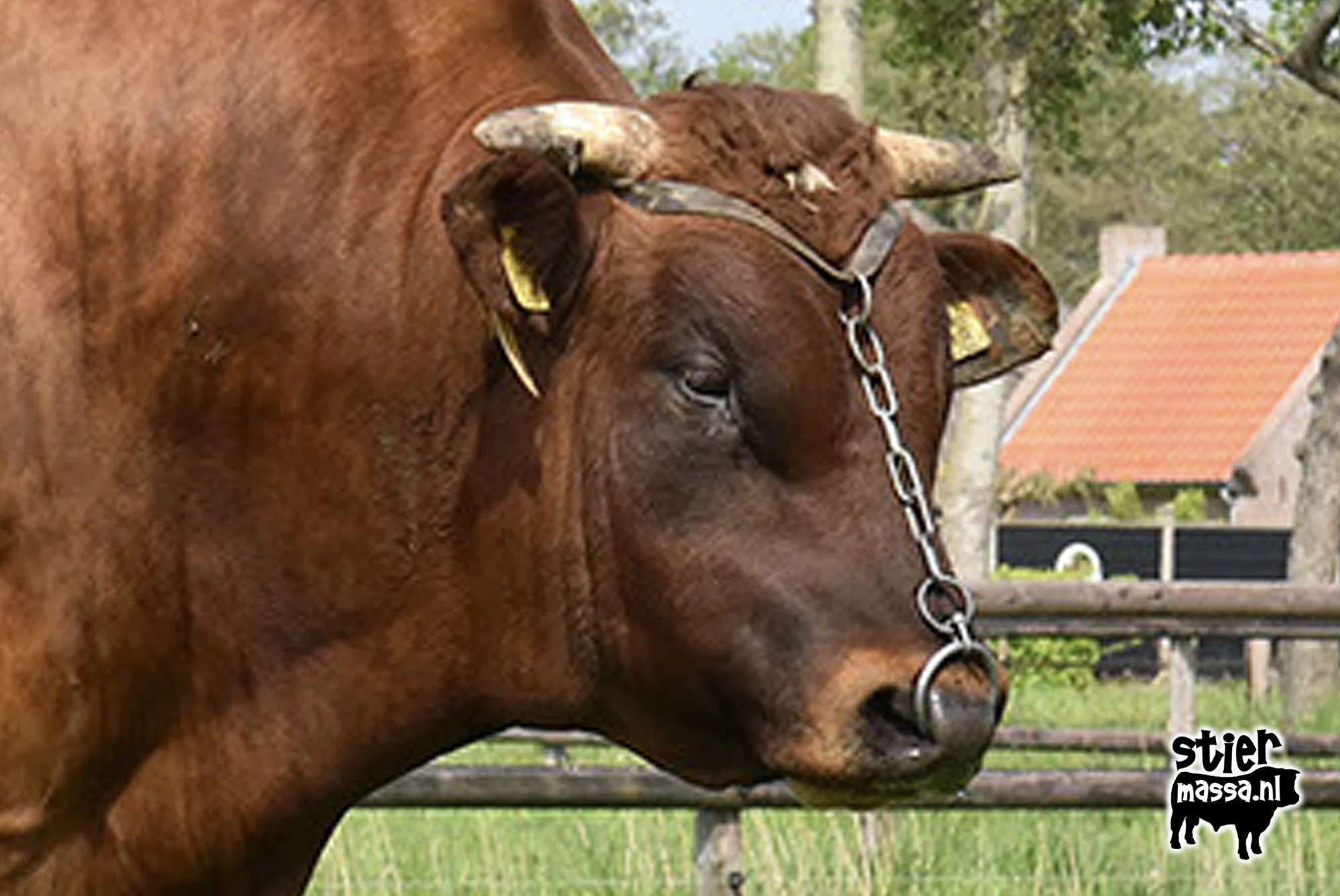 Leyenhorst 211