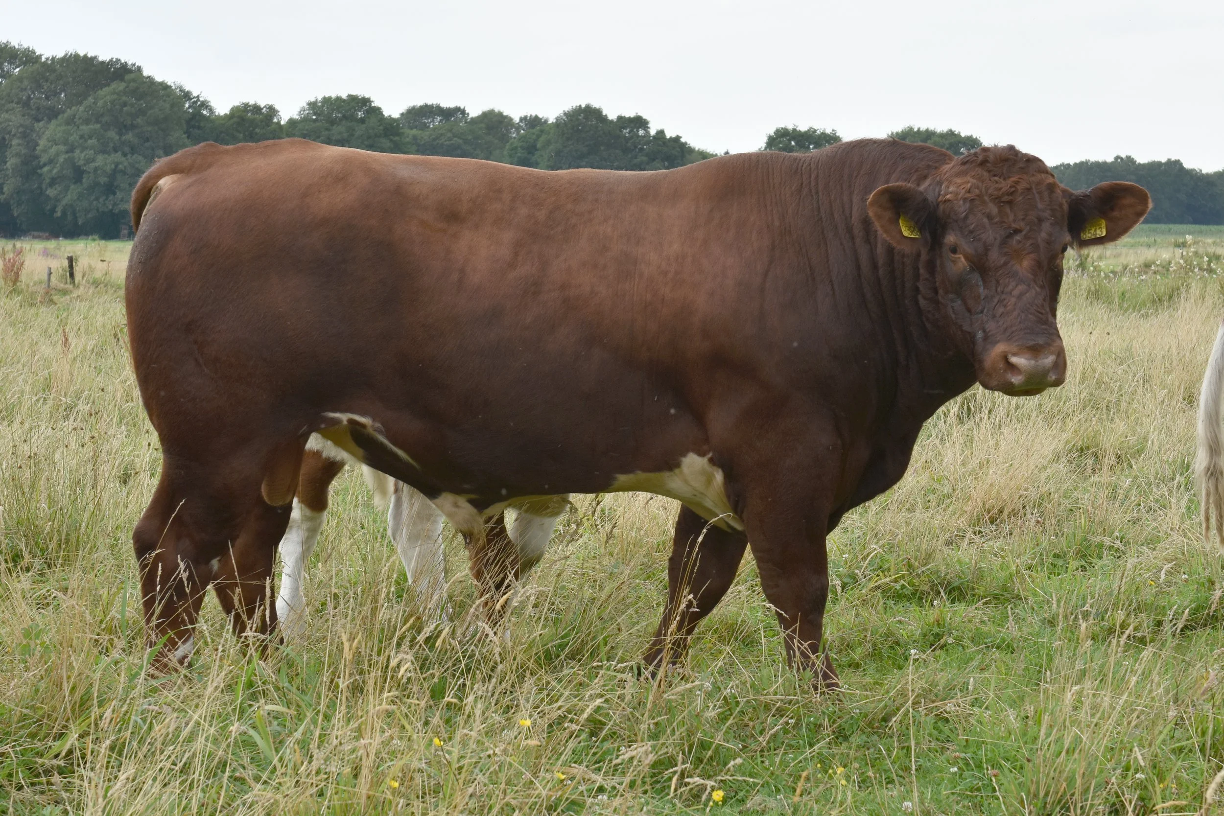 ESH-0001-02.jpg