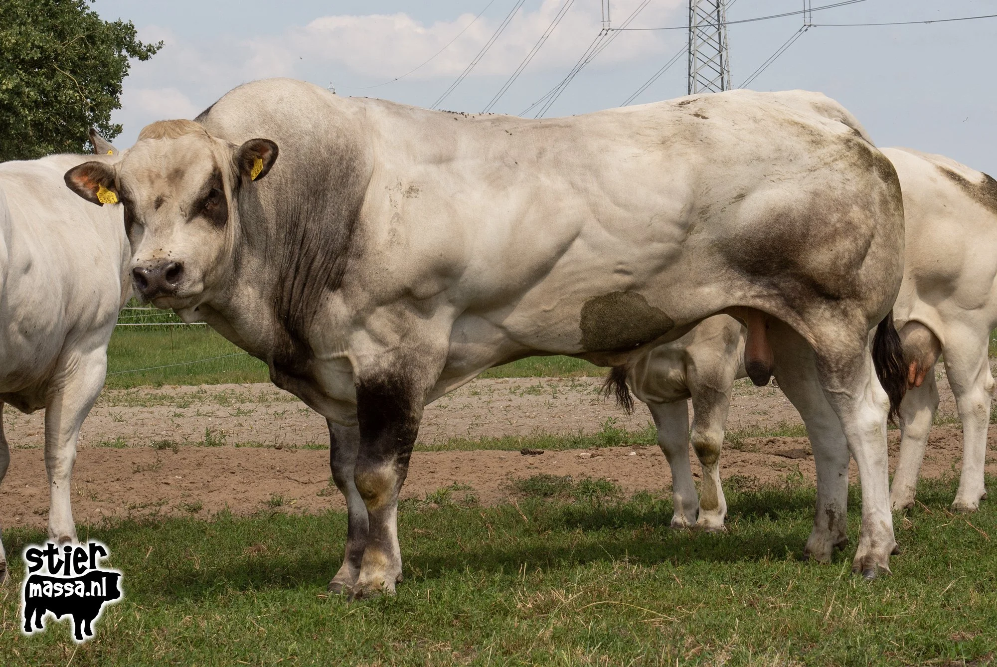 Fortwijk 343-02.jpg