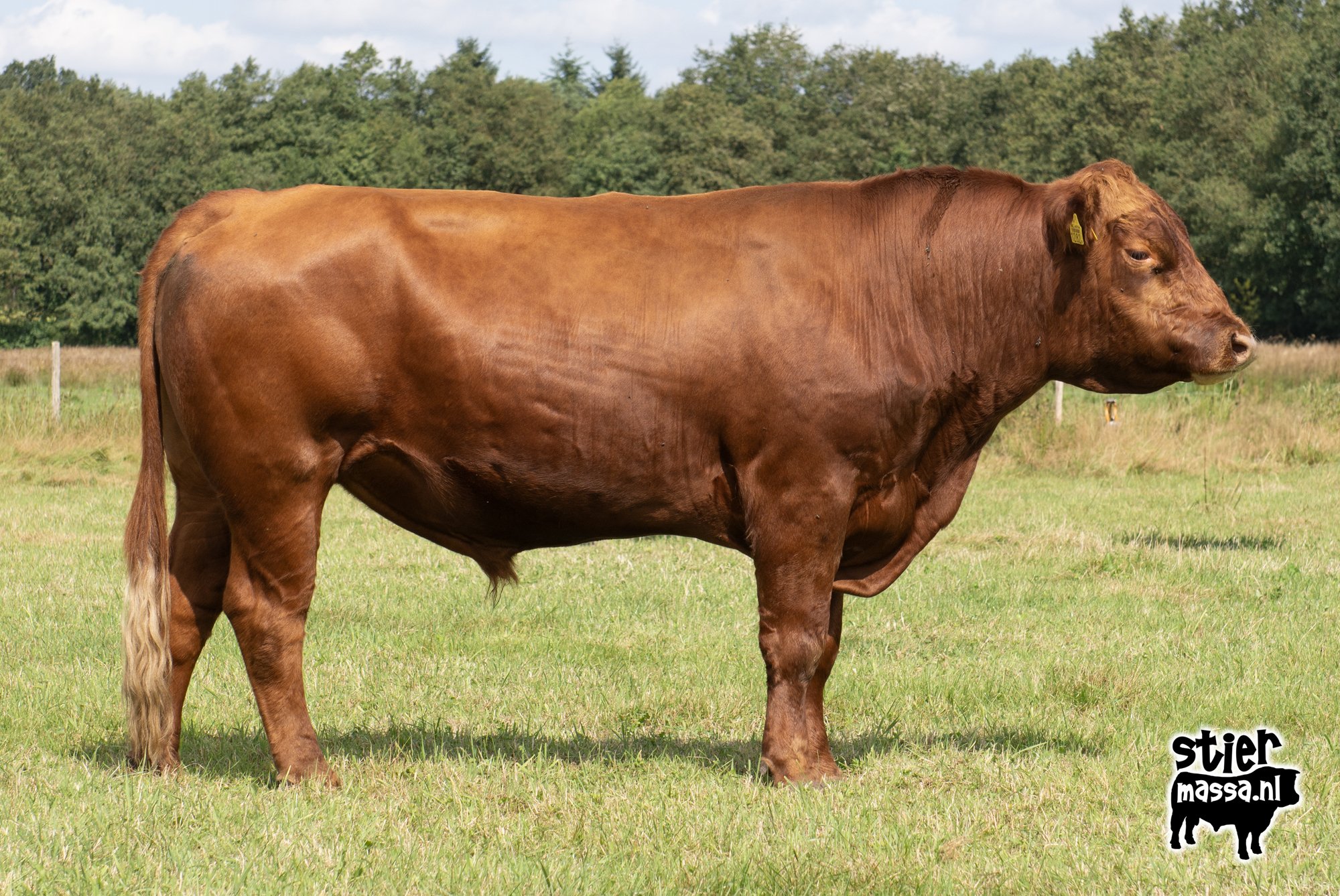 ANG-0010-04.jpg