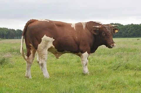 MAN-0006-07.jpg