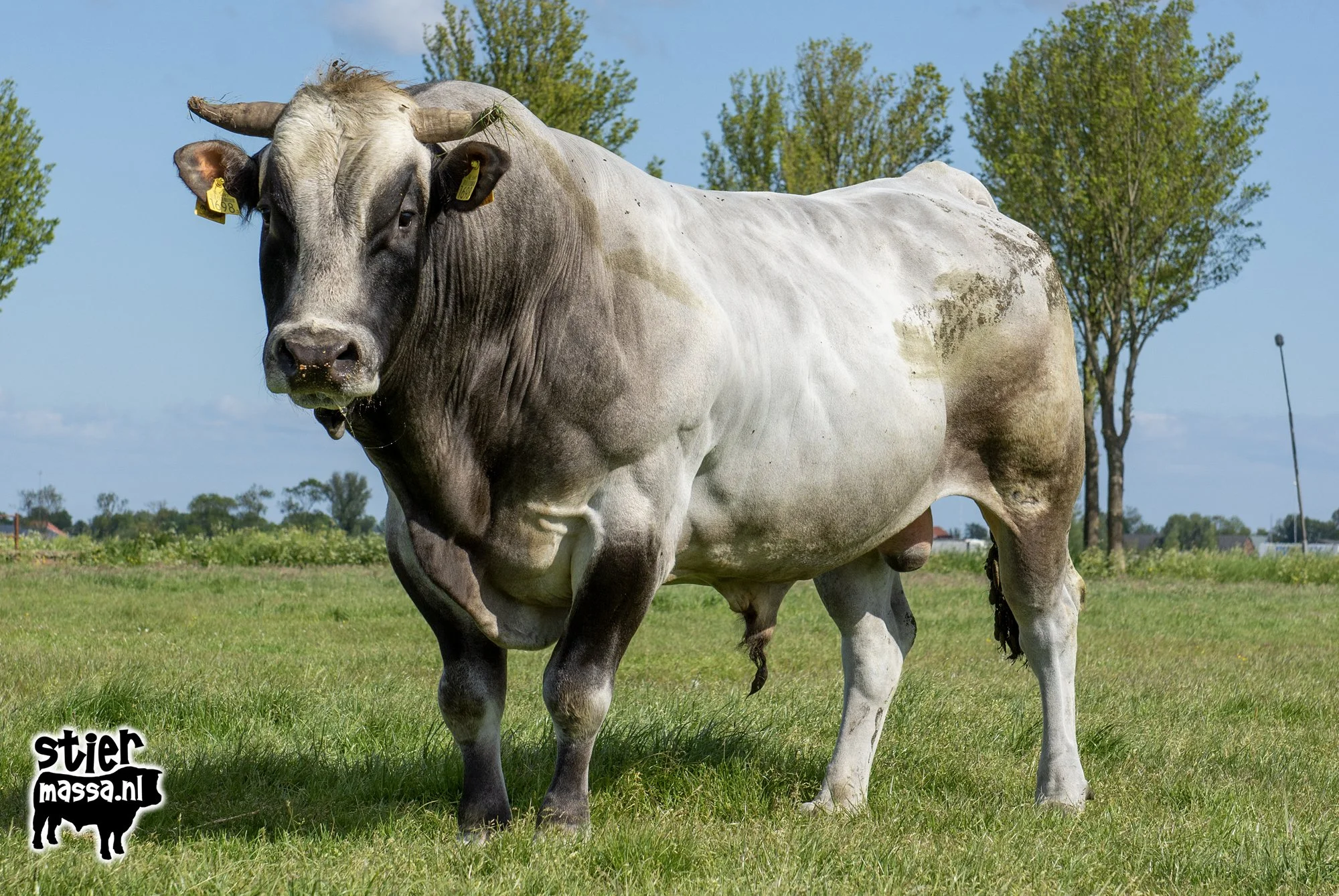 Meester-02.jpg