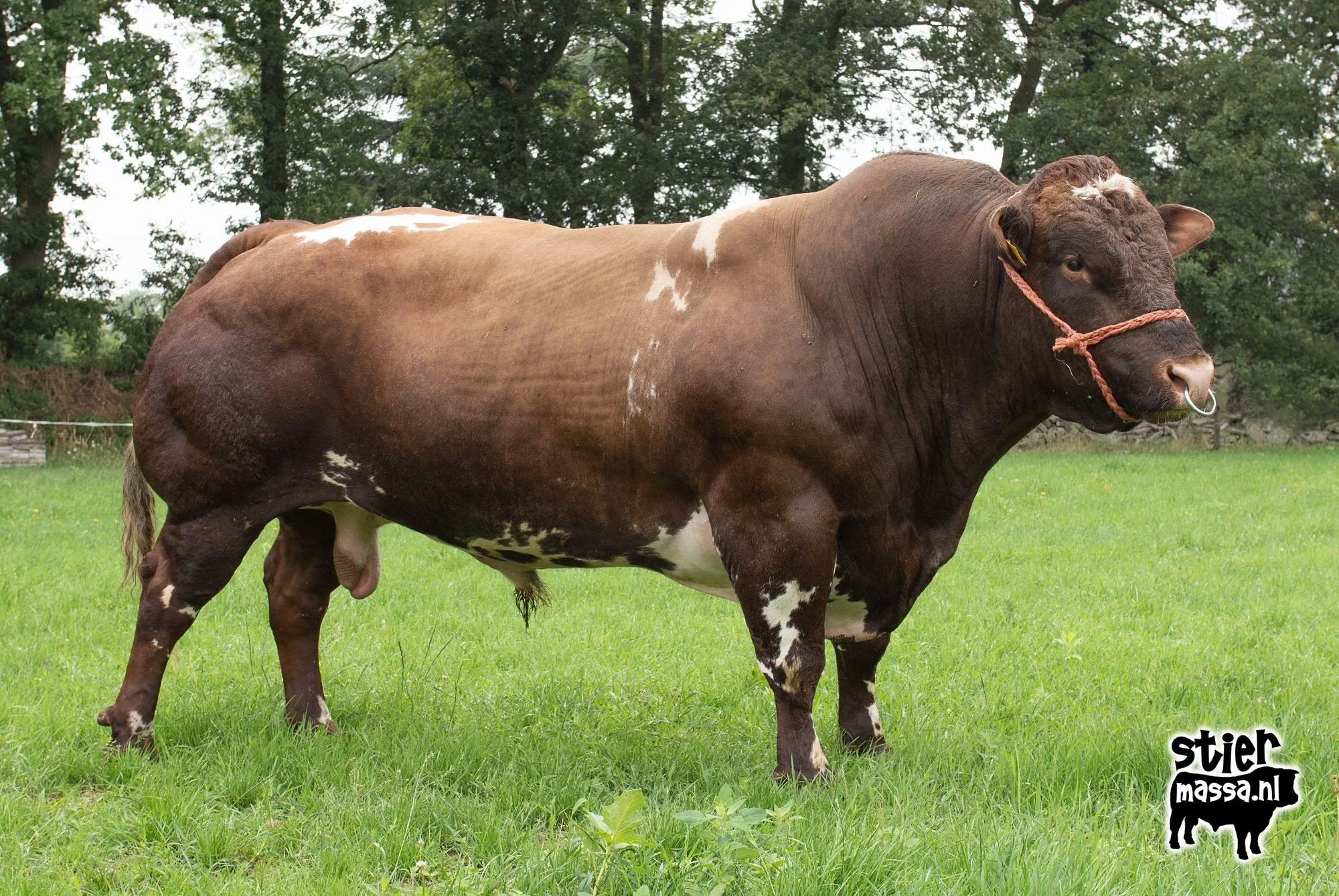 Hendrik-Rein-03.jpg