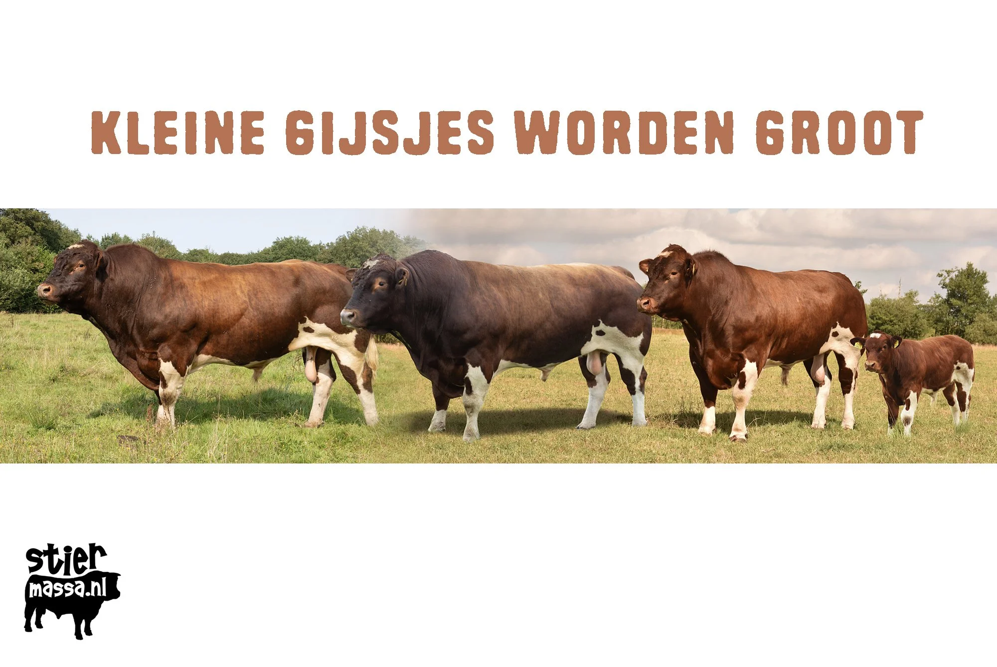 Gijs-06.jpg