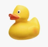 duck.jpg