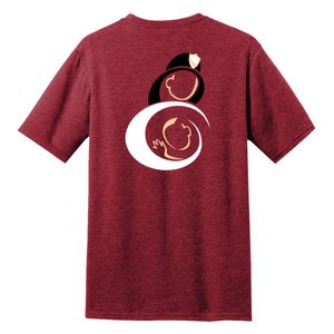 SCBCF Tshirt red back.jpg