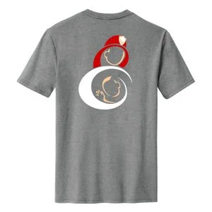 SCBCF Tshirt grey back.jpg