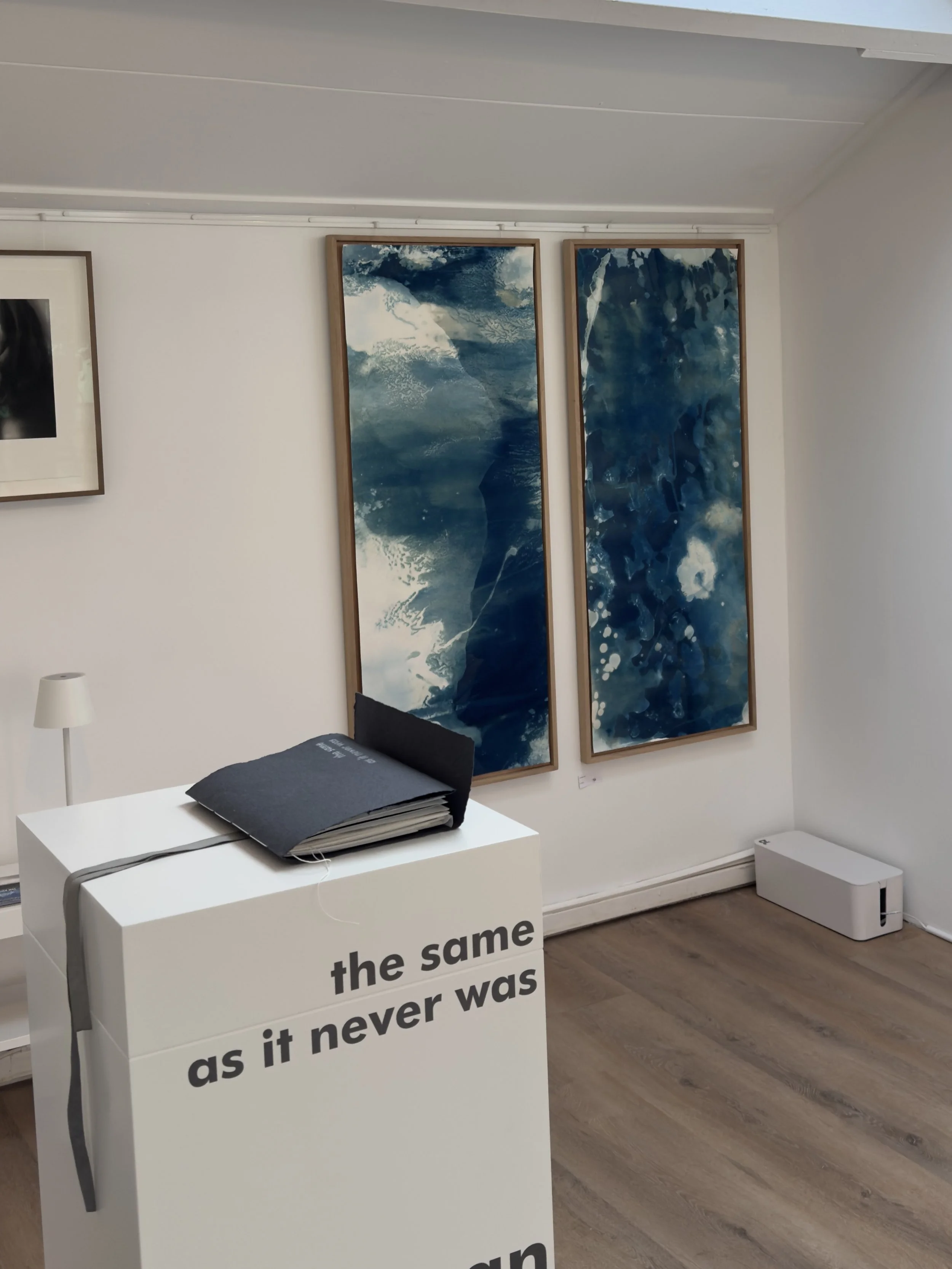 “the same as it never was” , duo expo met Geralda Odinot