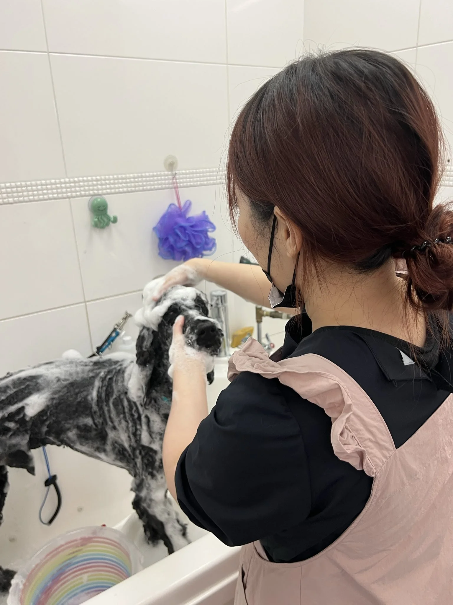 Vancouver's Ultimate Dog Grooming With Japanese Master Groomer Kaori ...