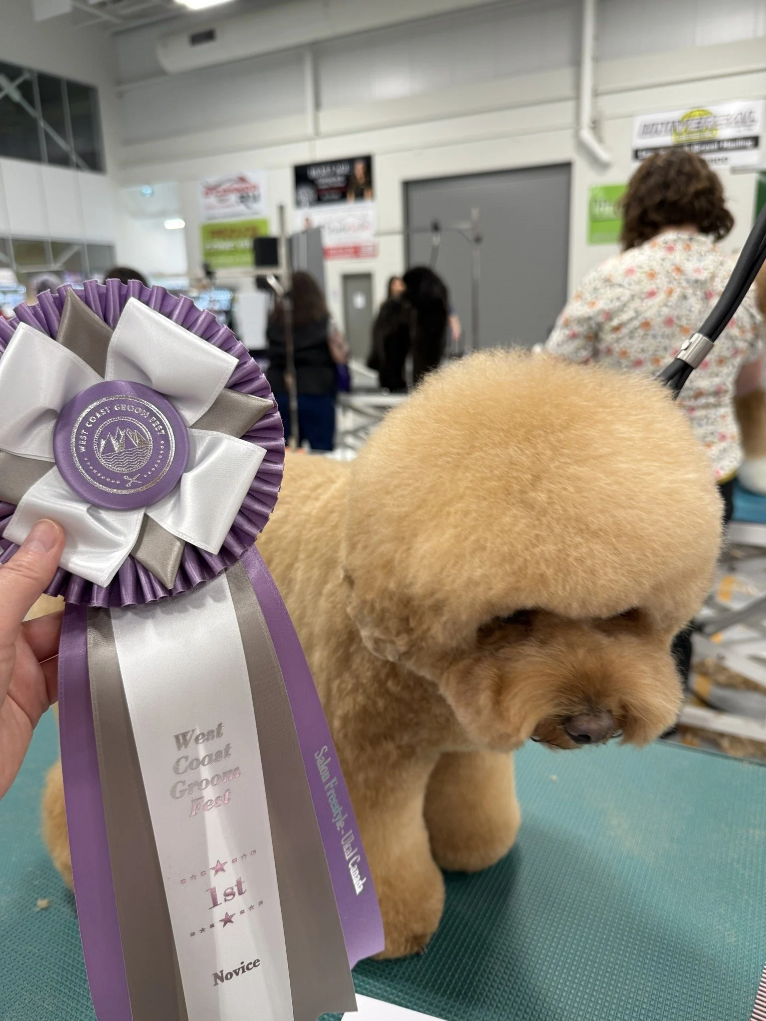 A beautiful award-winning cut at the Grooming show