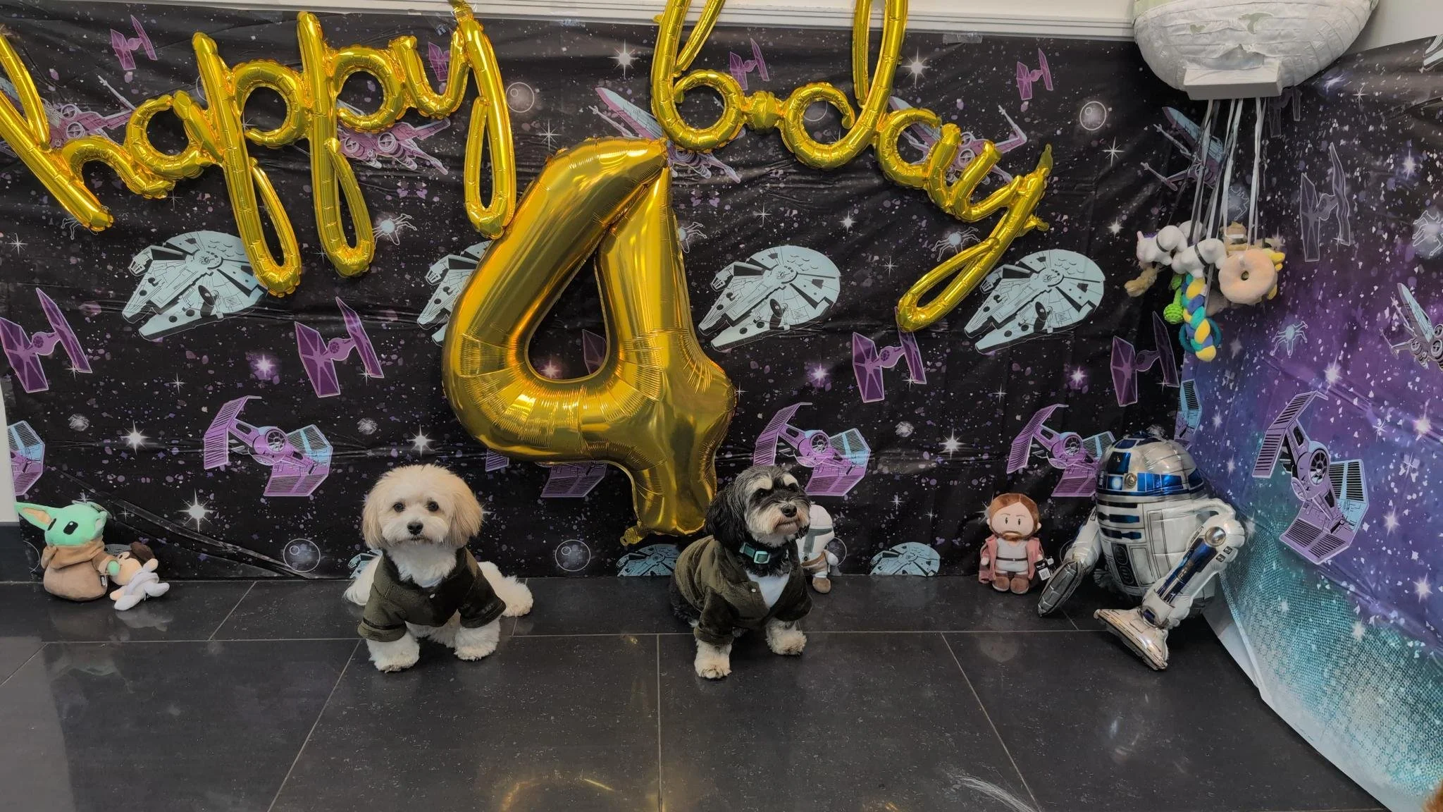 Host Your Dog’s Party at Fetching Forever — Fetching Forever