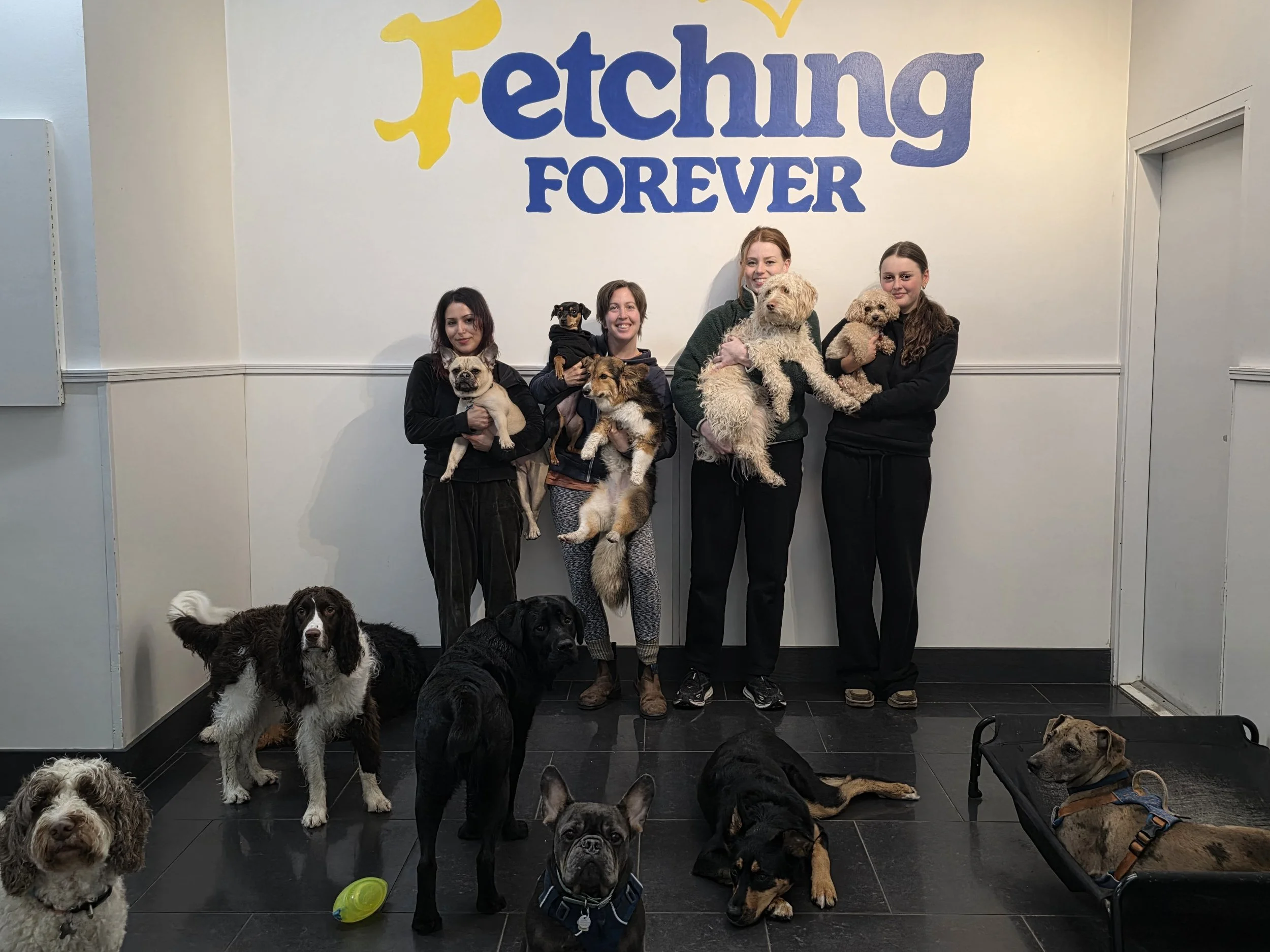 Four women holding dogs stand in Vancouver's best dog daycare with the words 'Fetching Forever' painted on it. Several dogs are on the floor, some lying down, and a dog is on a raised platform on the right. The women and dogs are having a great time.