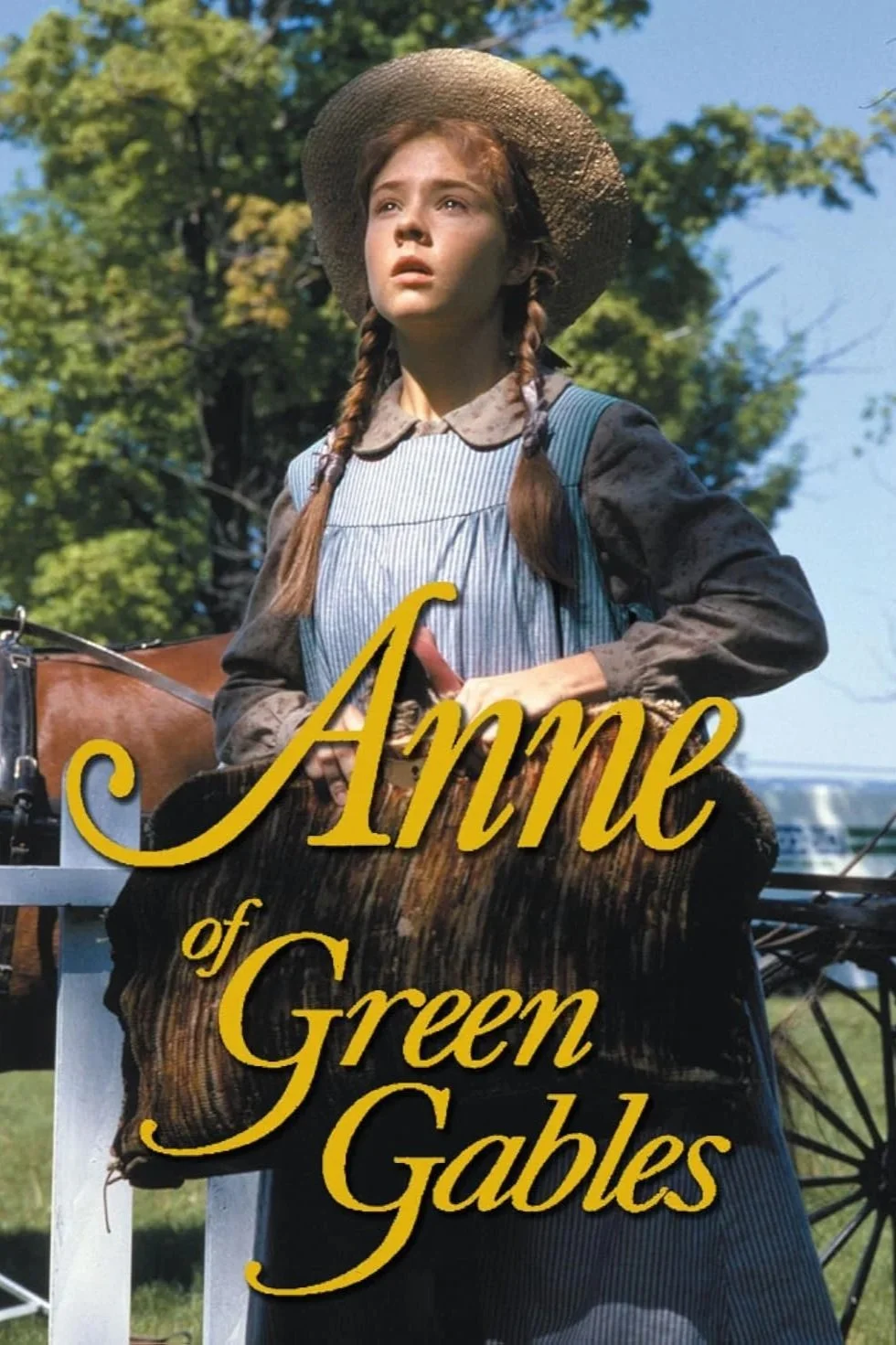 Rediscovering The Magic of The 1980s Anne of Green Gables; A Timeless Trilogy That Deservers More Love.