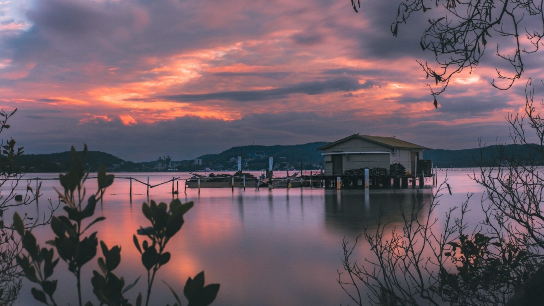 Oyster Shack