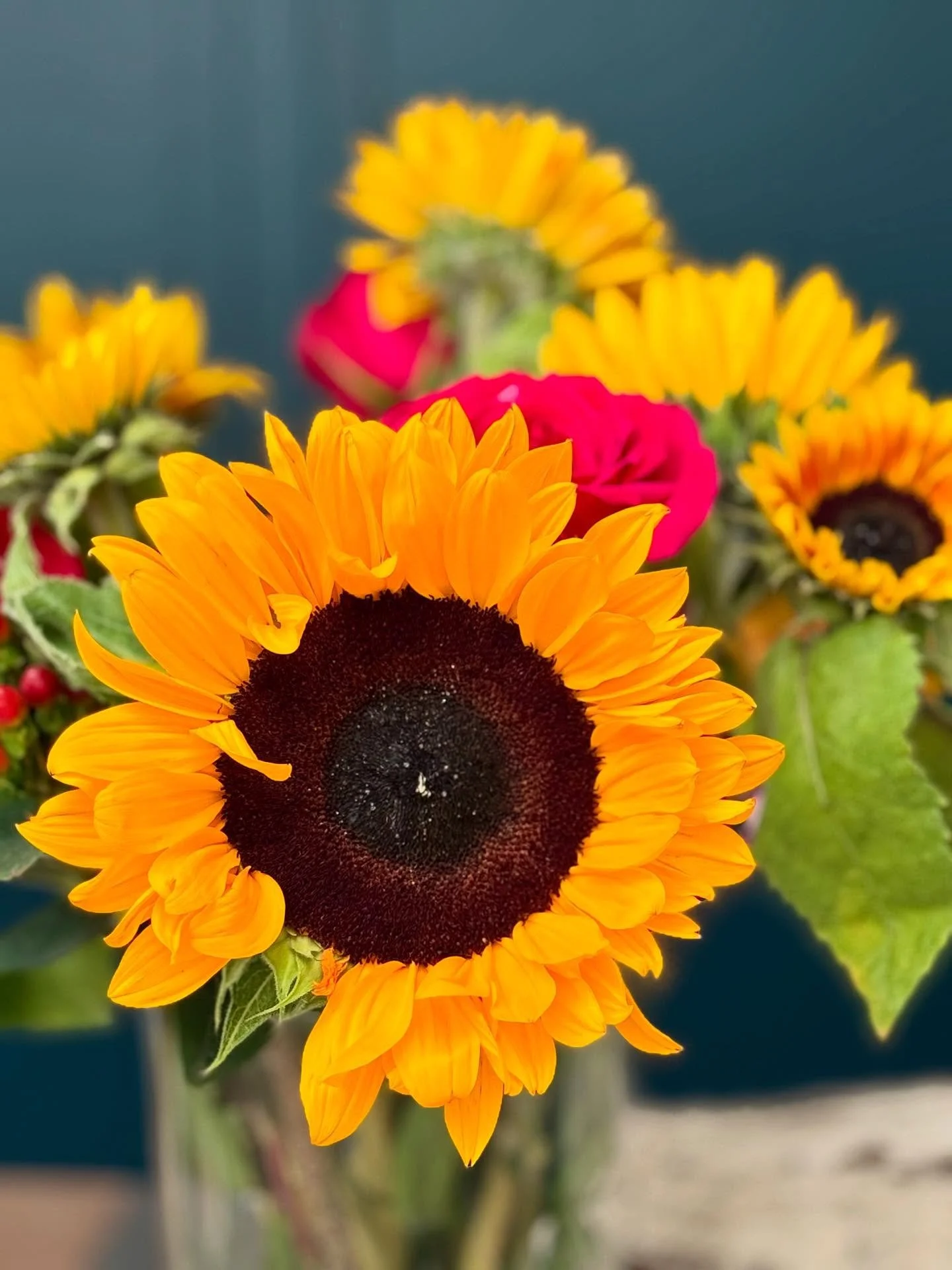 Today marks the beginning of astronomical autumn &mdash; shorter days, golden light, and nature&rsquo;s gentle reminder to slow down. 🍁 I love this season for so many reasons: the warm, earthy colours, the comforting rituals, and especially the shif