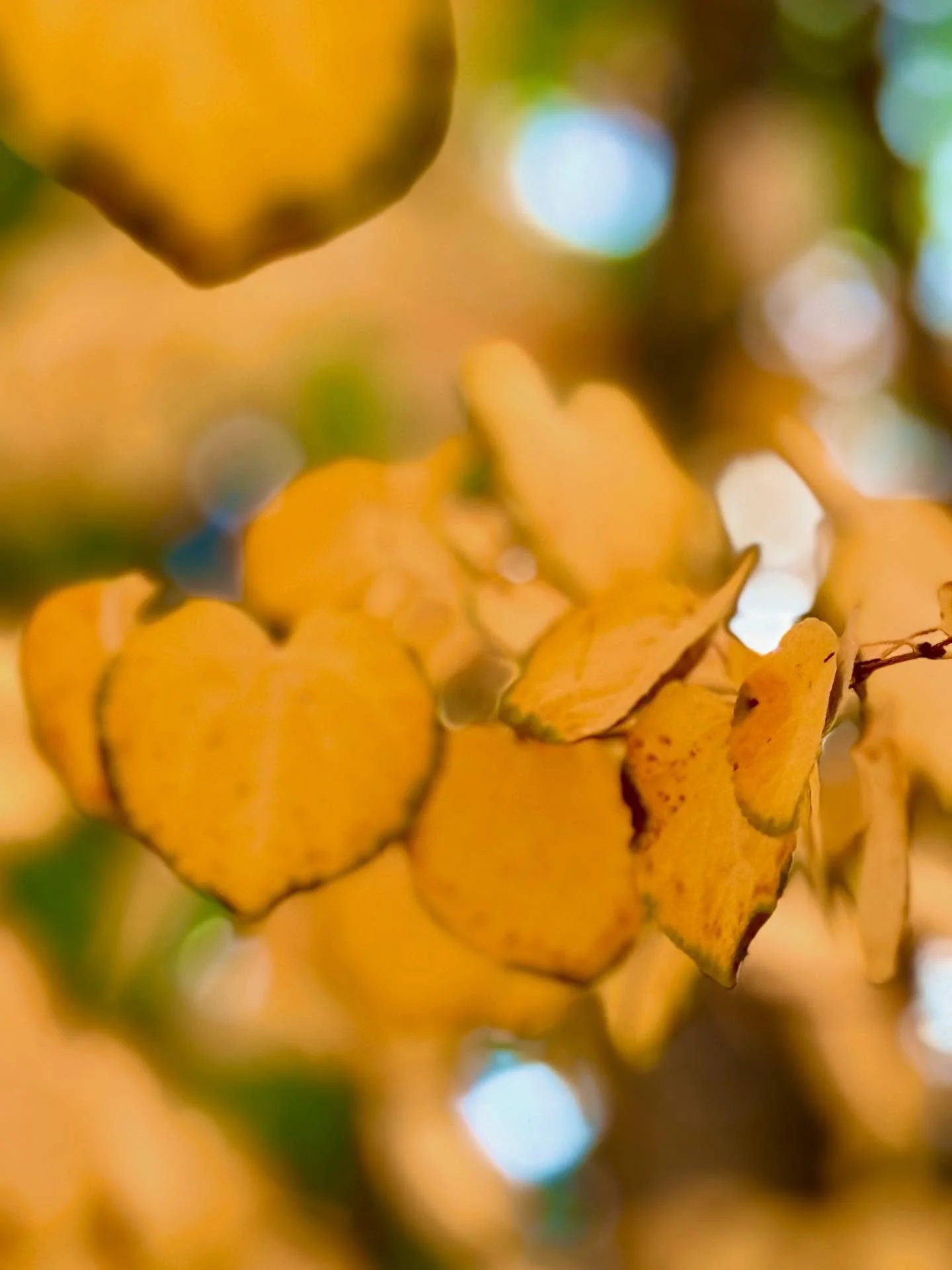 One Life, Two Futures 
Reposting a powerful message from @drlongevity that really captures the essence I live by: we are the architects of our future health.

Every day, we&rsquo;re faced with choices &mdash; what to eat, how to move, when to rest, w