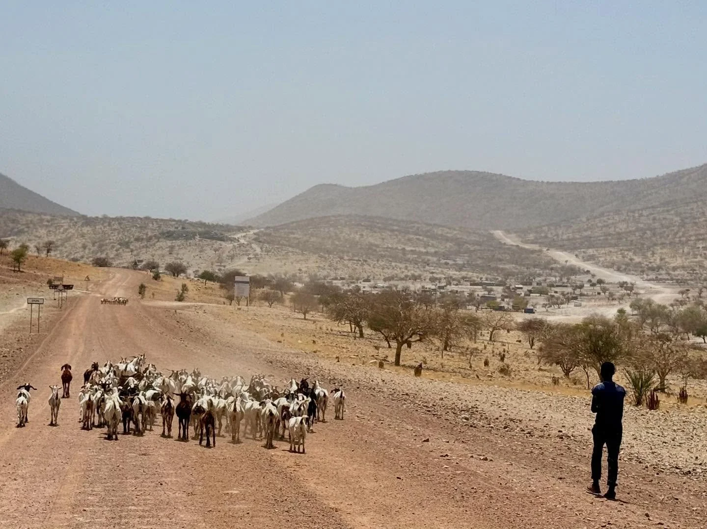 It&rsquo;s been a little while since my last post - I have just returned from an incredible trip to Namibia 🇳🇦✨

The landscapes were breathtaking, the wildlife unforgettable, and the people so kind and welcoming. Travelling through such a vast and 