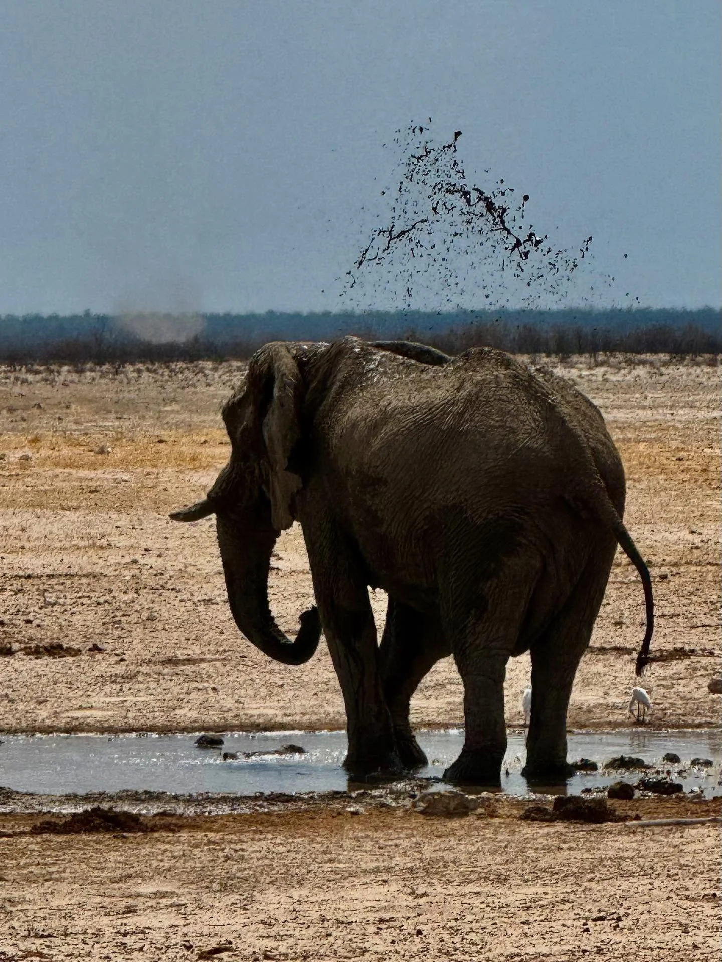Since I received such lovely messages after my last post, I wanted to share a few more photos &mdash; and the story behind them &mdash; with you. 💛

I celebrated my birthday while travelling through Namibia, and one of the most meaningful gifts I co
