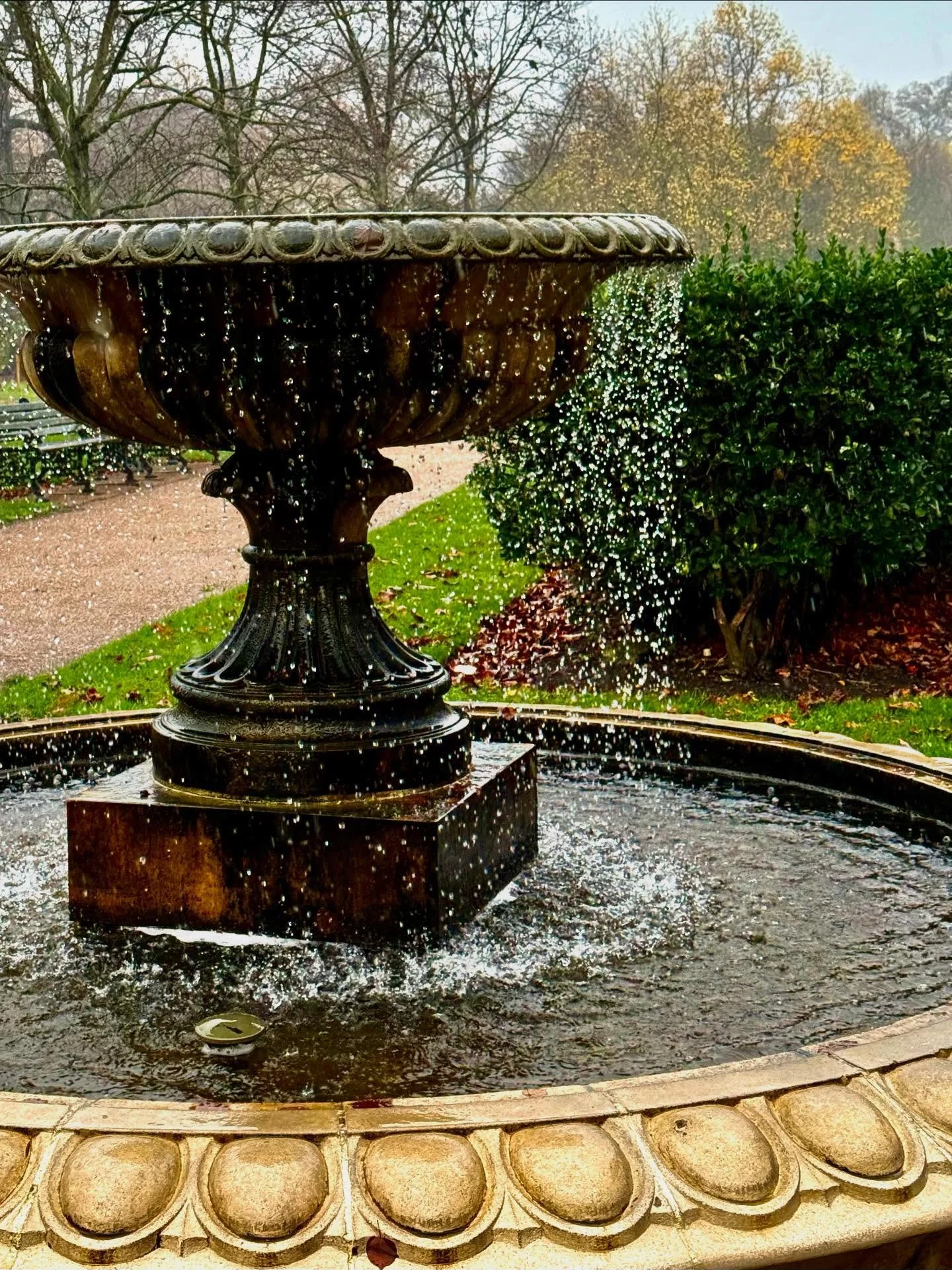 ✨ Reflecting on 30 Years of Growth ✨

I hope you all had a wonderful weekend! A few days ago, I took a stroll through Regent&rsquo;s Park in London, reminiscing about my time there as a student at Regent&rsquo;s College. 

Today marks the 30th annive